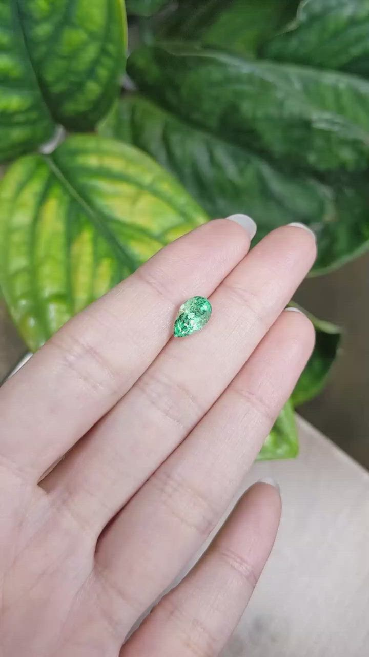 1.71 Ct. Emerald from Russia Size Video