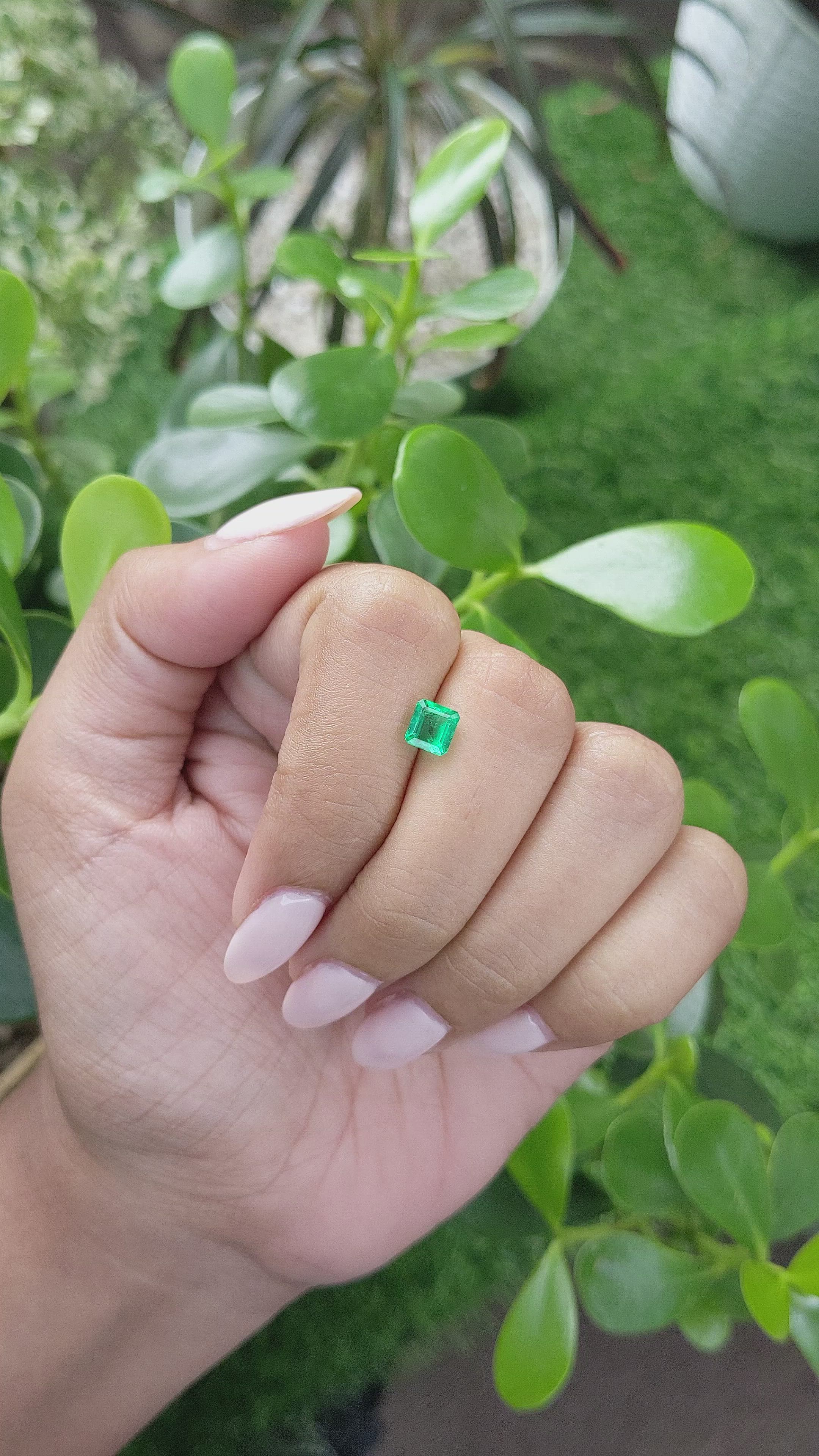 0.83 Ct. Emerald from Colombia Size Video