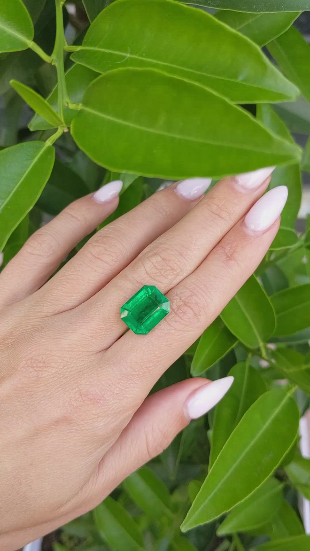 10.04 Ct. Emerald from Zambia Size Video