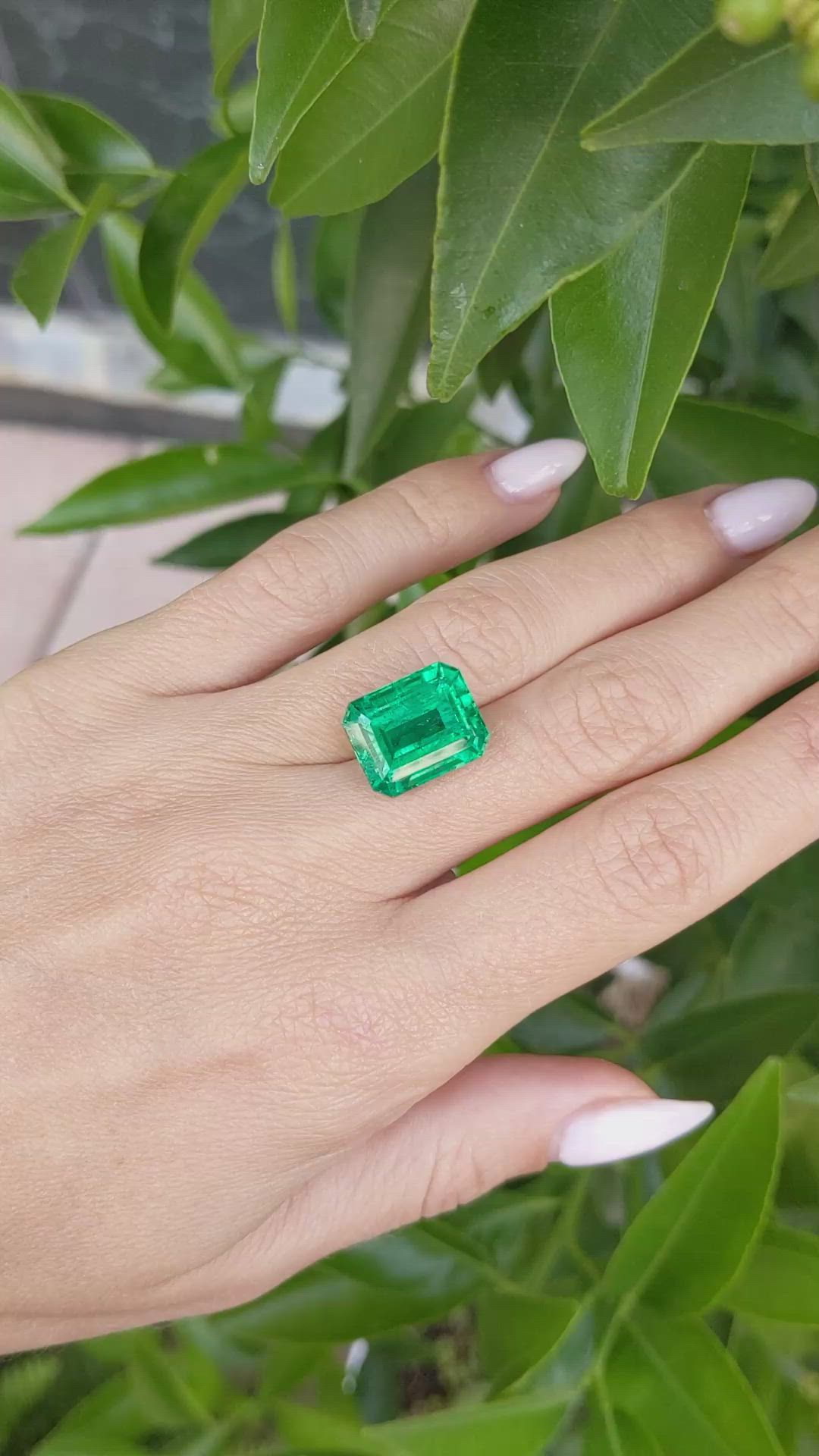 10.03 Ct. Emerald from Zambia Size Video