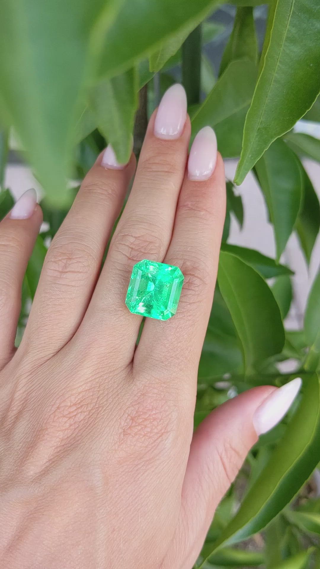 13.61 Ct. Emerald from Colombia Size Video