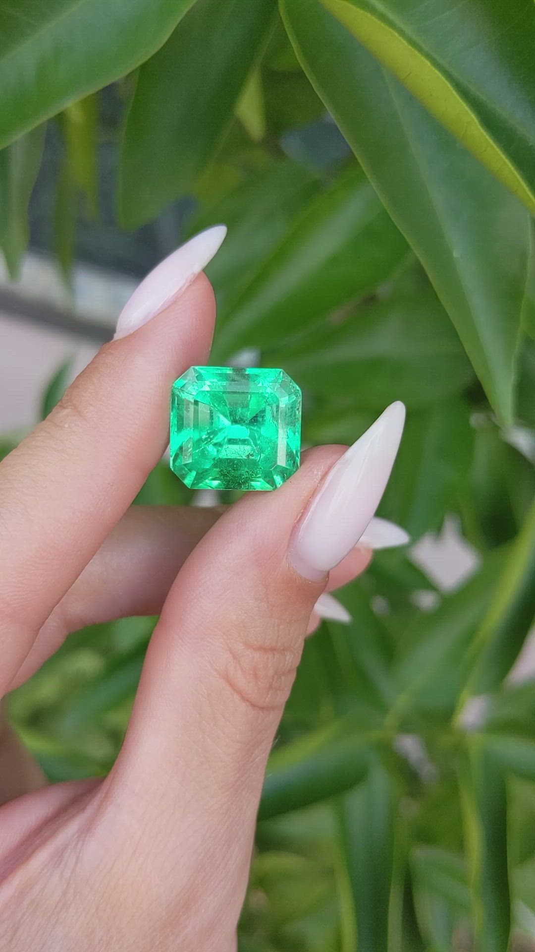 13.61 Ct. Emerald from Colombia Size Video