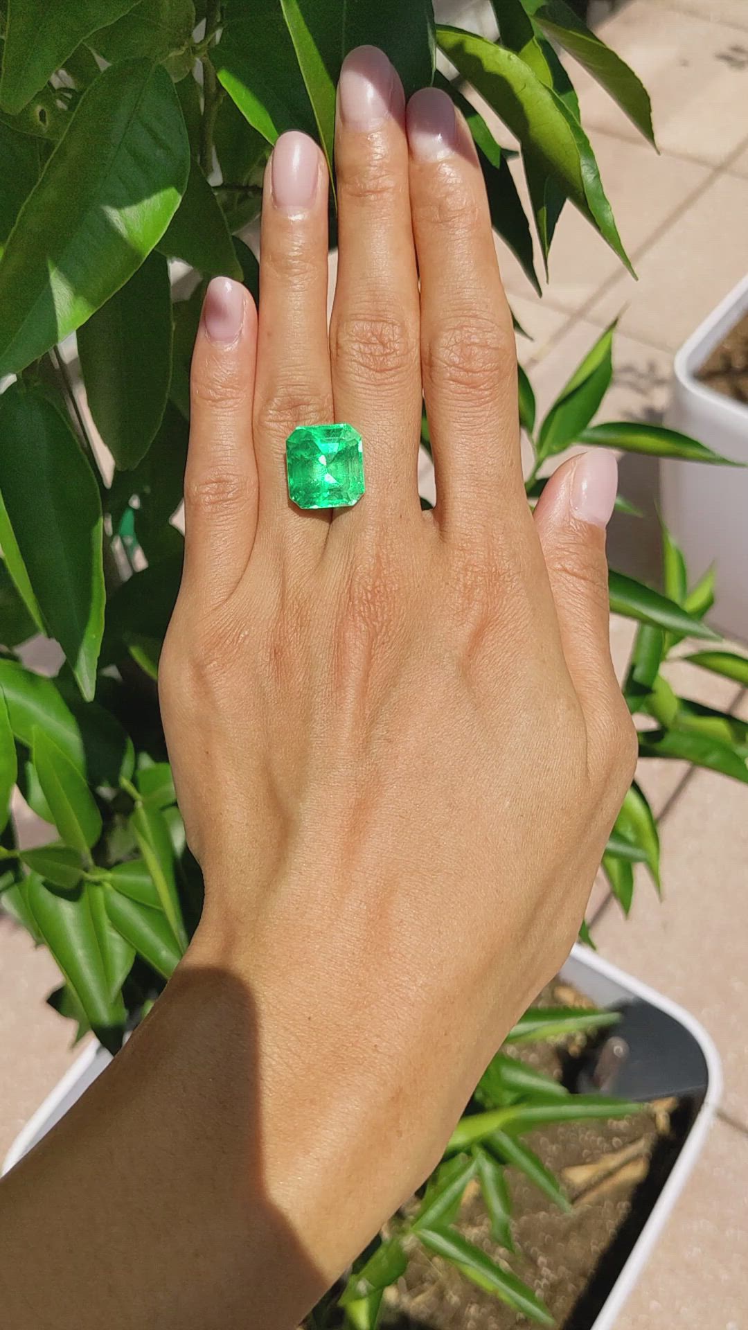 13.61 Ct. Emerald from Colombia Size Video