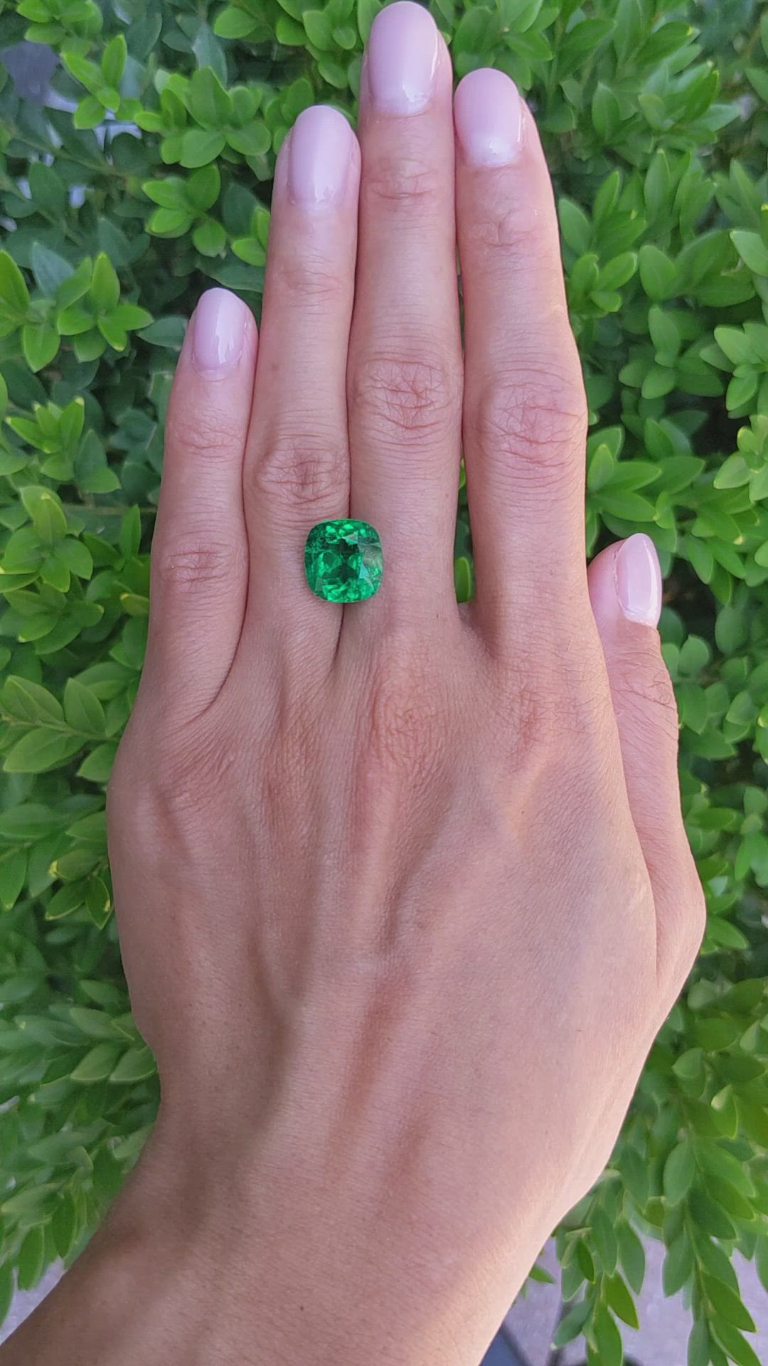 6.28 Ct. Emerald from Zambia Size Video