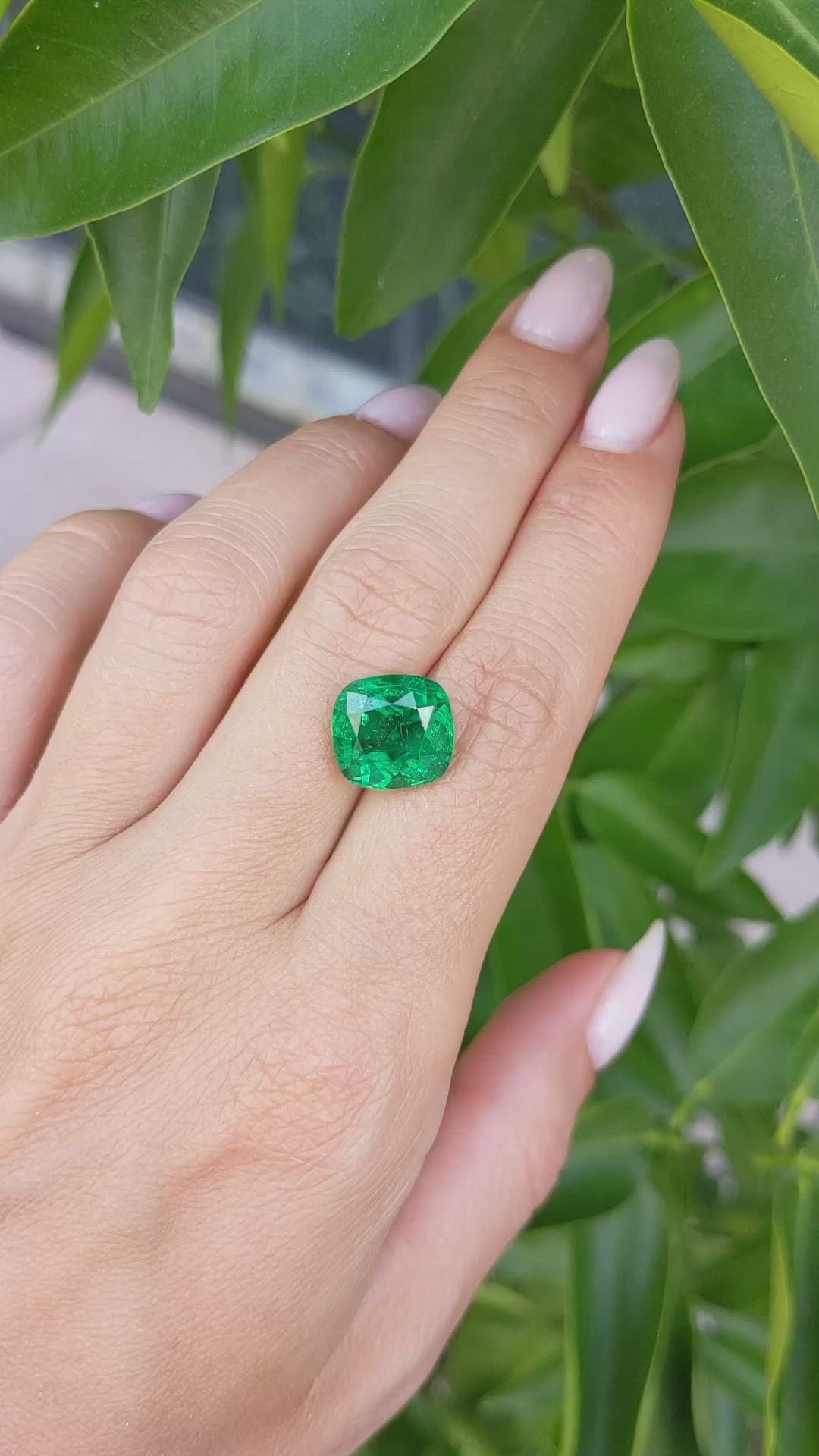 6.28 Ct. Emerald from Zambia Size Video