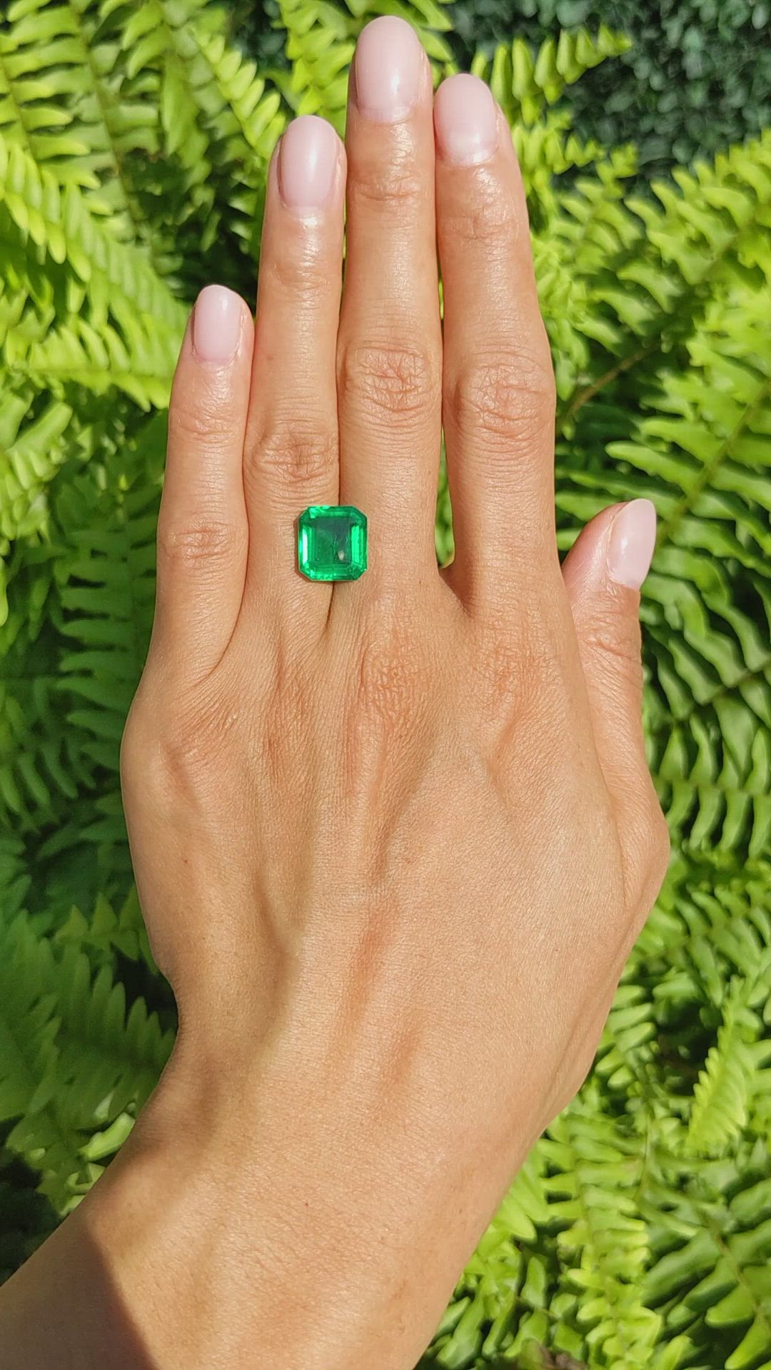 5.50 Ct. Emerald from Zambia Size Video