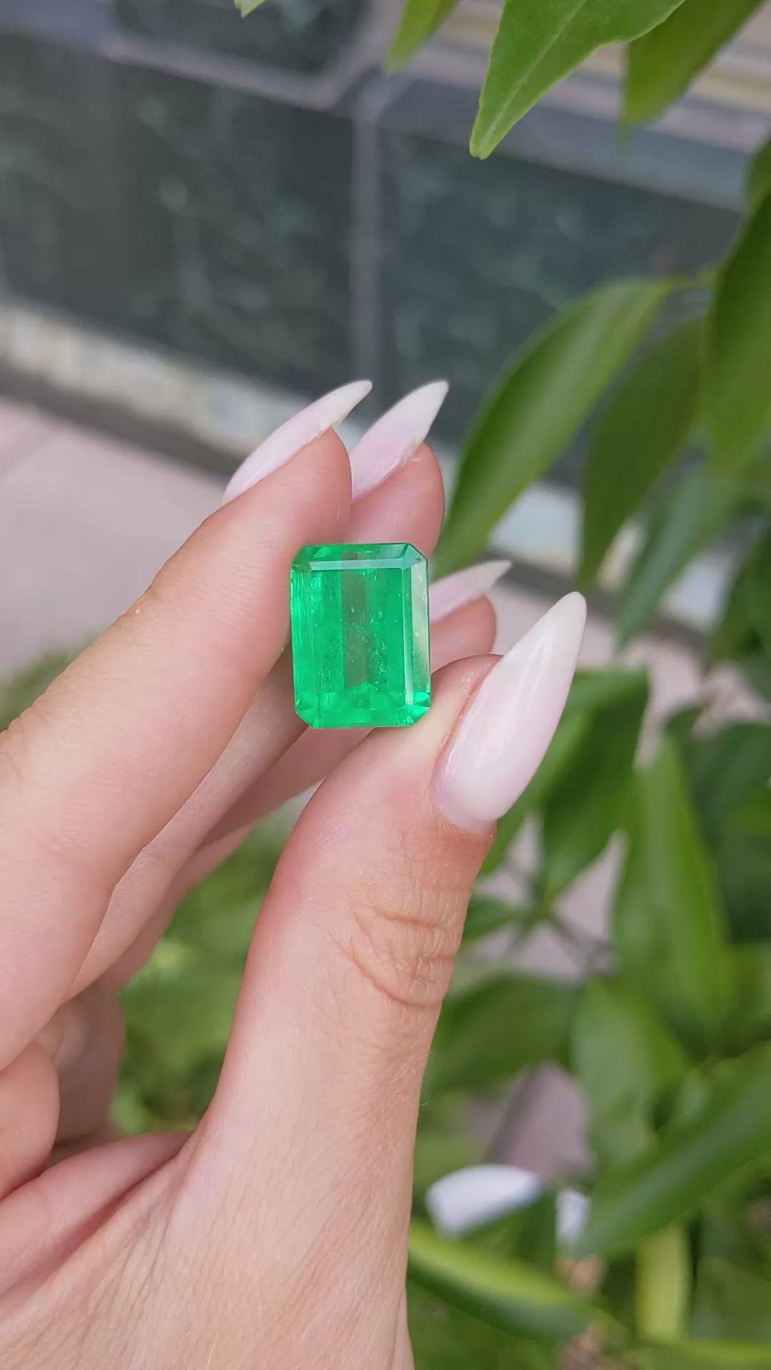 13.60 Ct. Emerald from Colombia Size Video