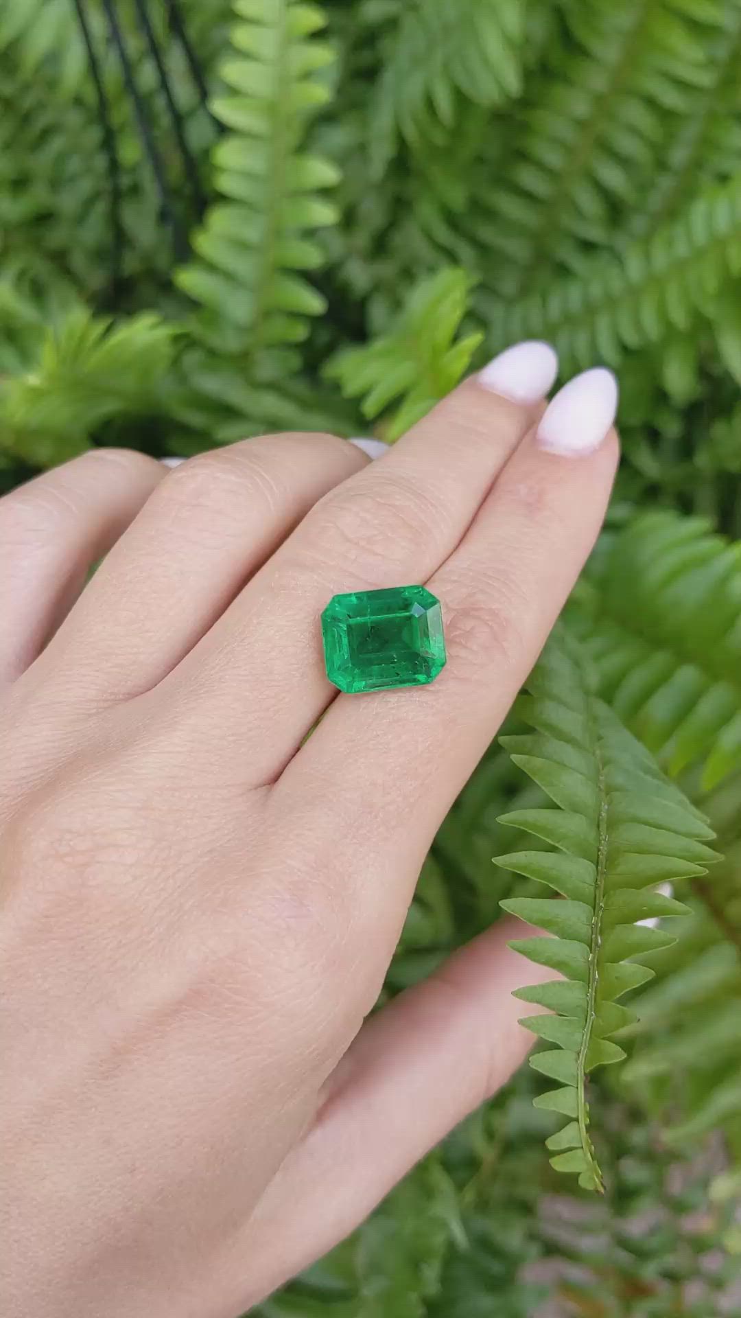 8.13 Ct. Emerald from Zambia Size Video