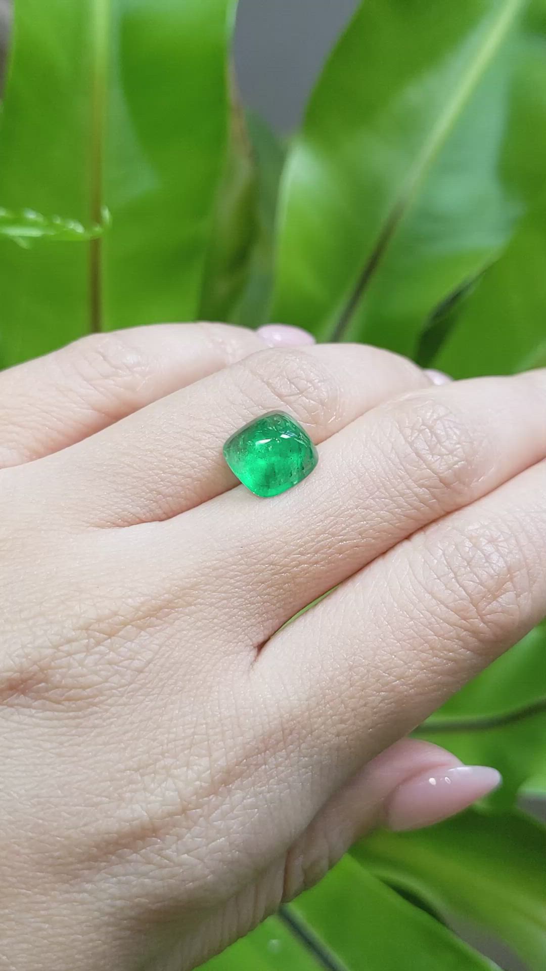3.00 Ct. Cabochon Emerald from Pakistan Size Video