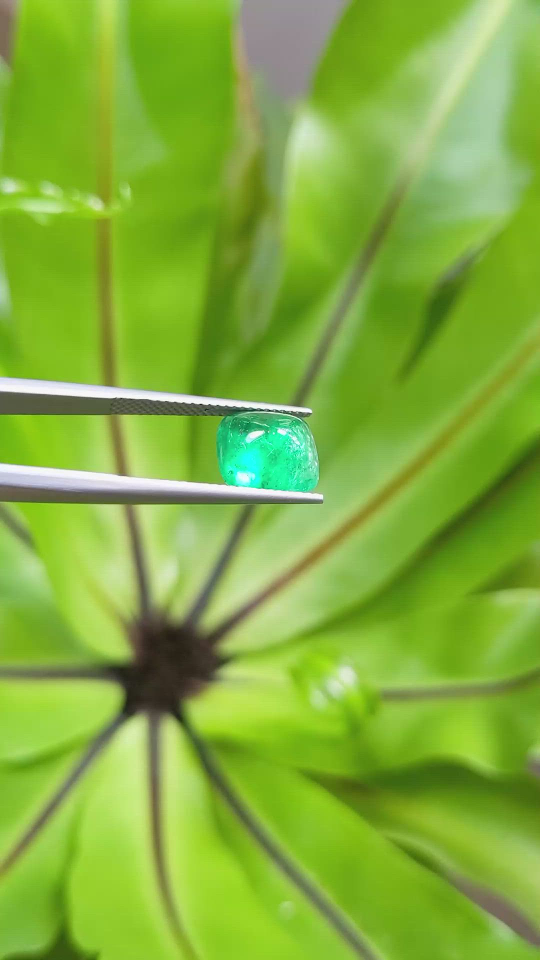 3.00 Ct. Cabochon Emerald from Pakistan Size Video
