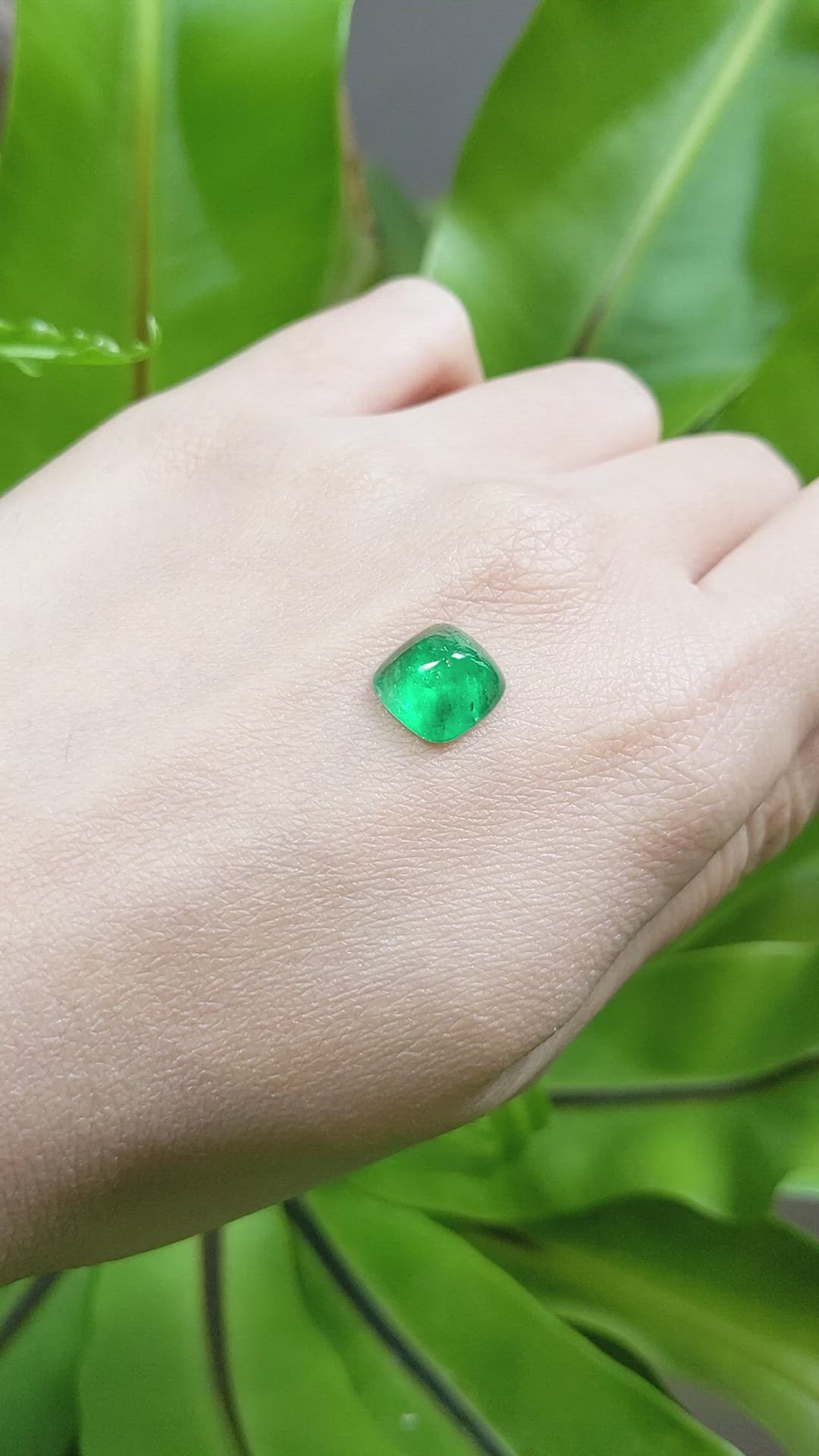 3.00 Ct. Cabochon Emerald from Pakistan Size Video
