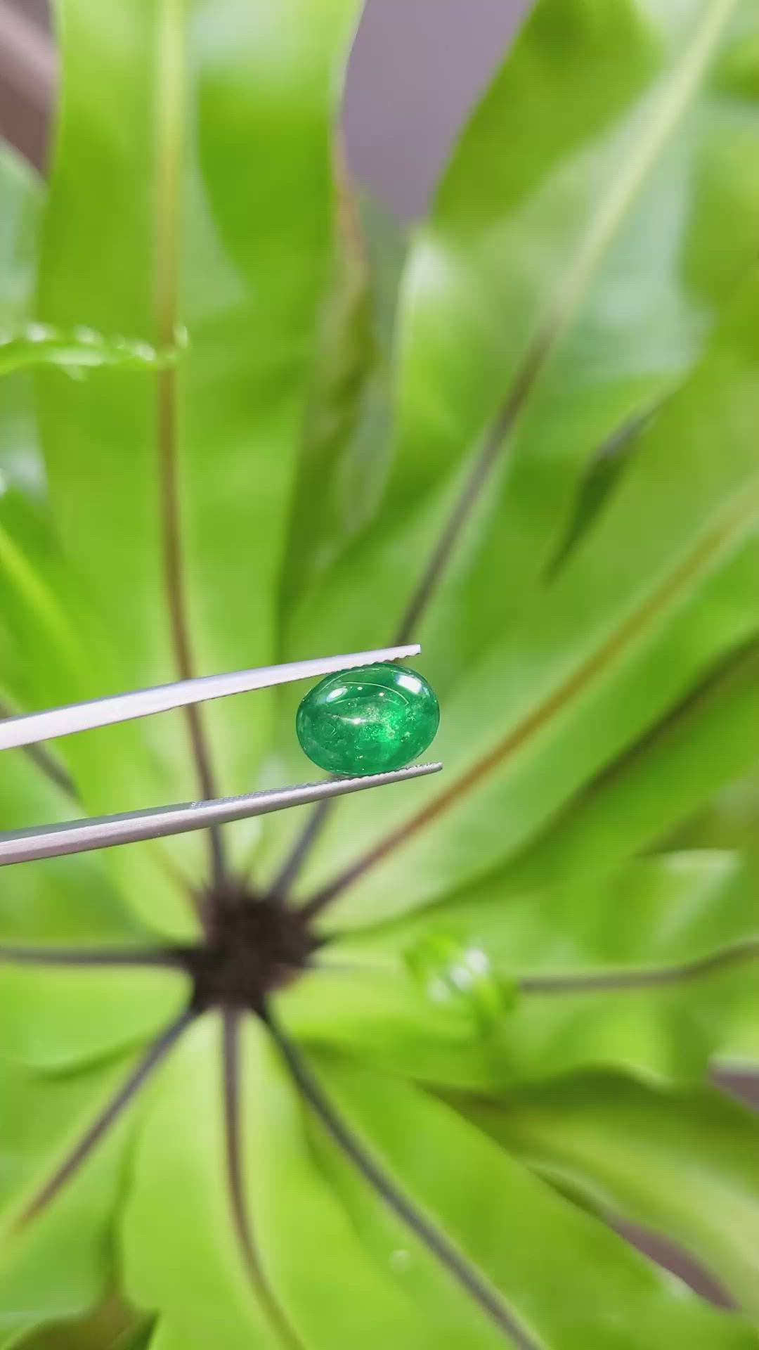 3.00 Ct. Cabochon Emerald from Pakistan Size Video
