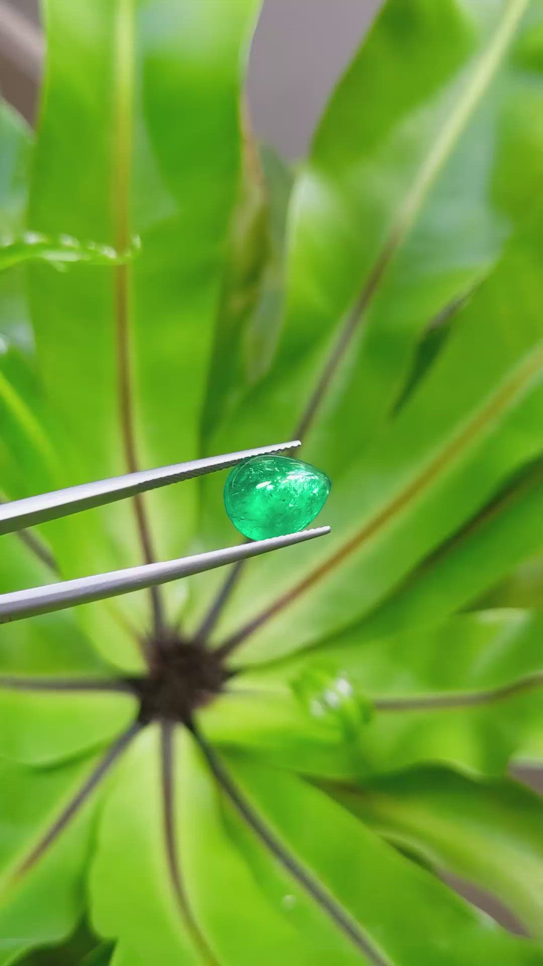 4.56 Ct. Cabochon Emerald from Pakistan Size Video