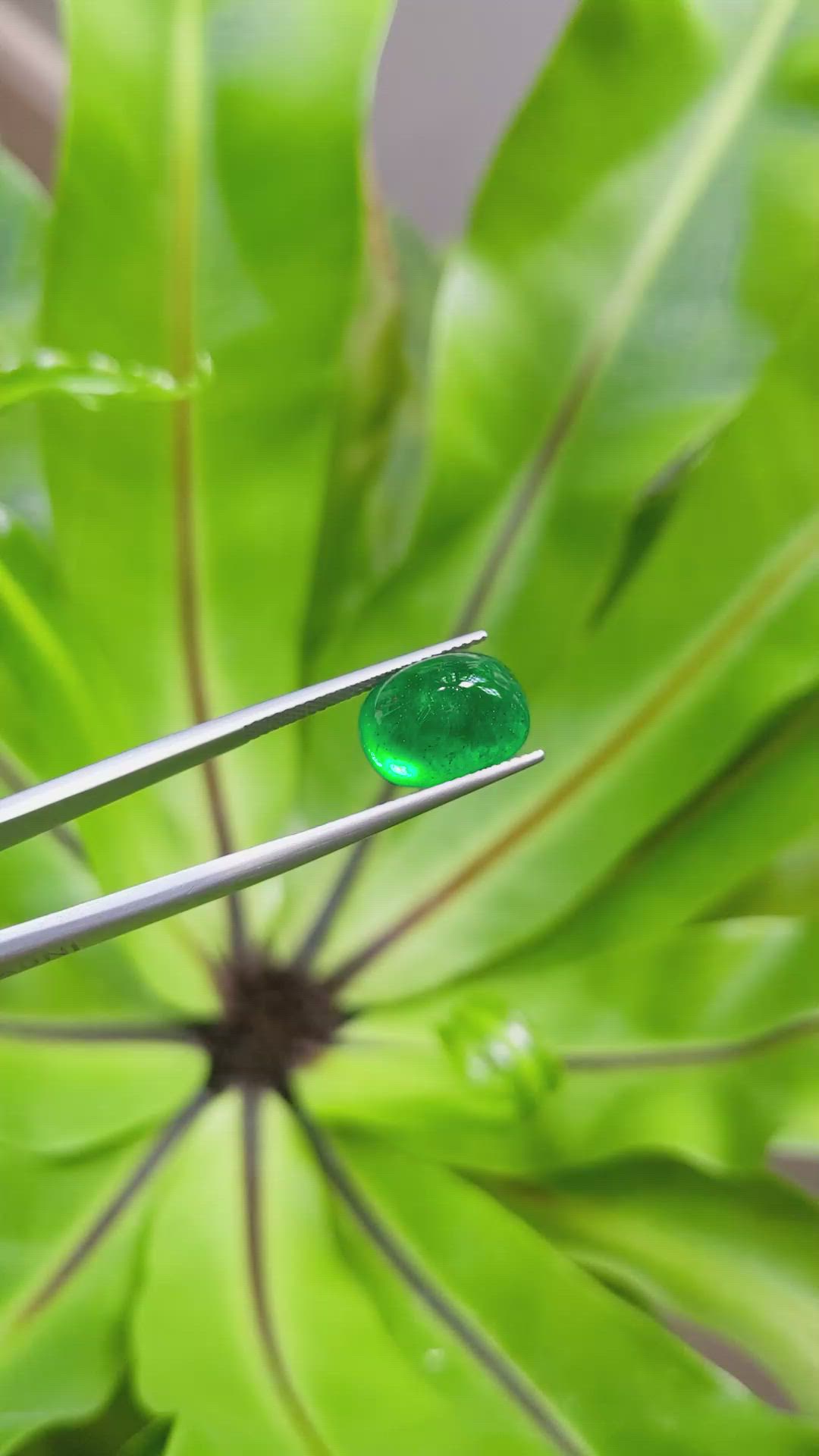 6.68 Ct. Cabochon Emerald from Pakistan Size Video