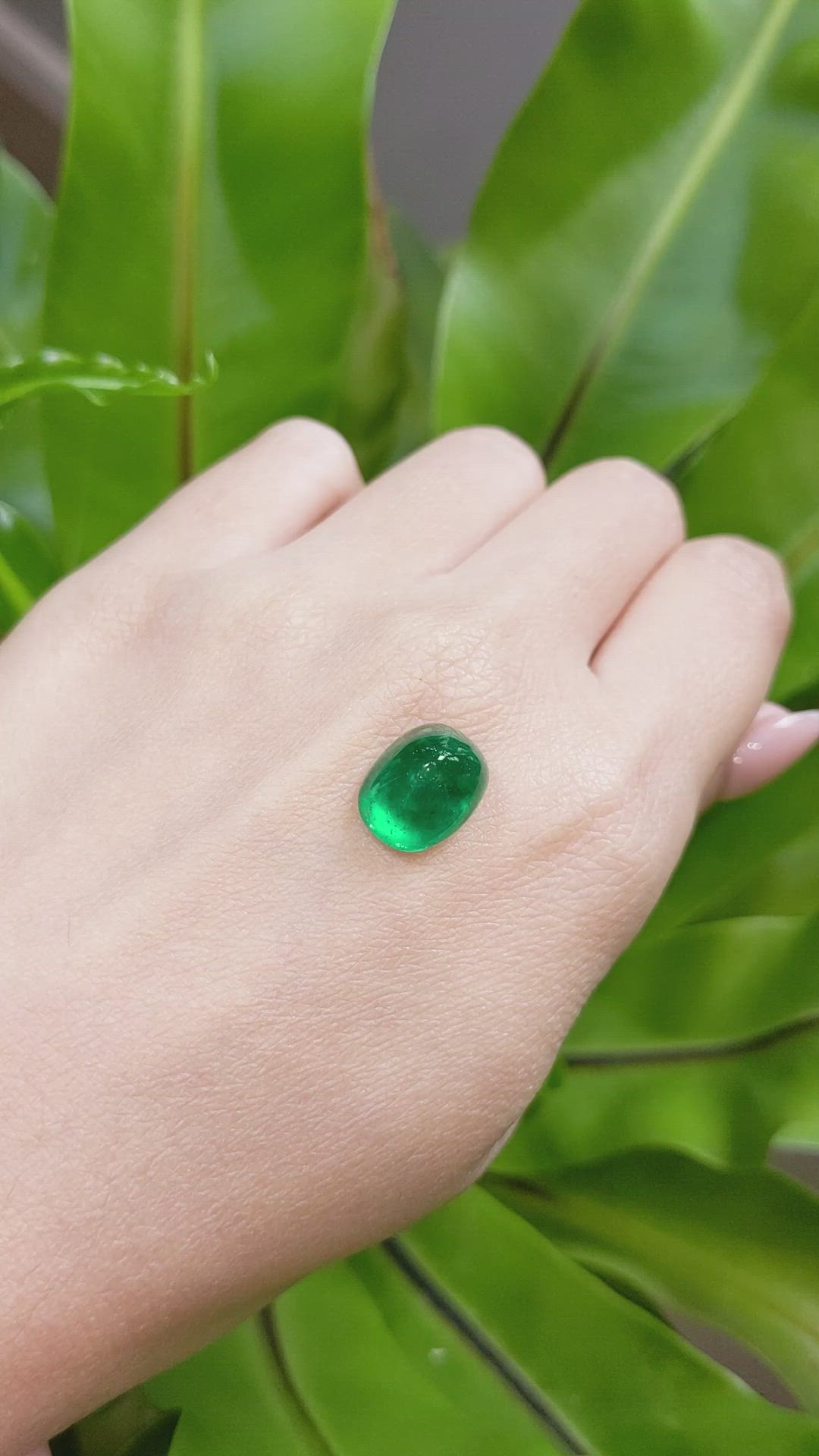 6.68 Ct. Cabochon Emerald from Pakistan Size Video