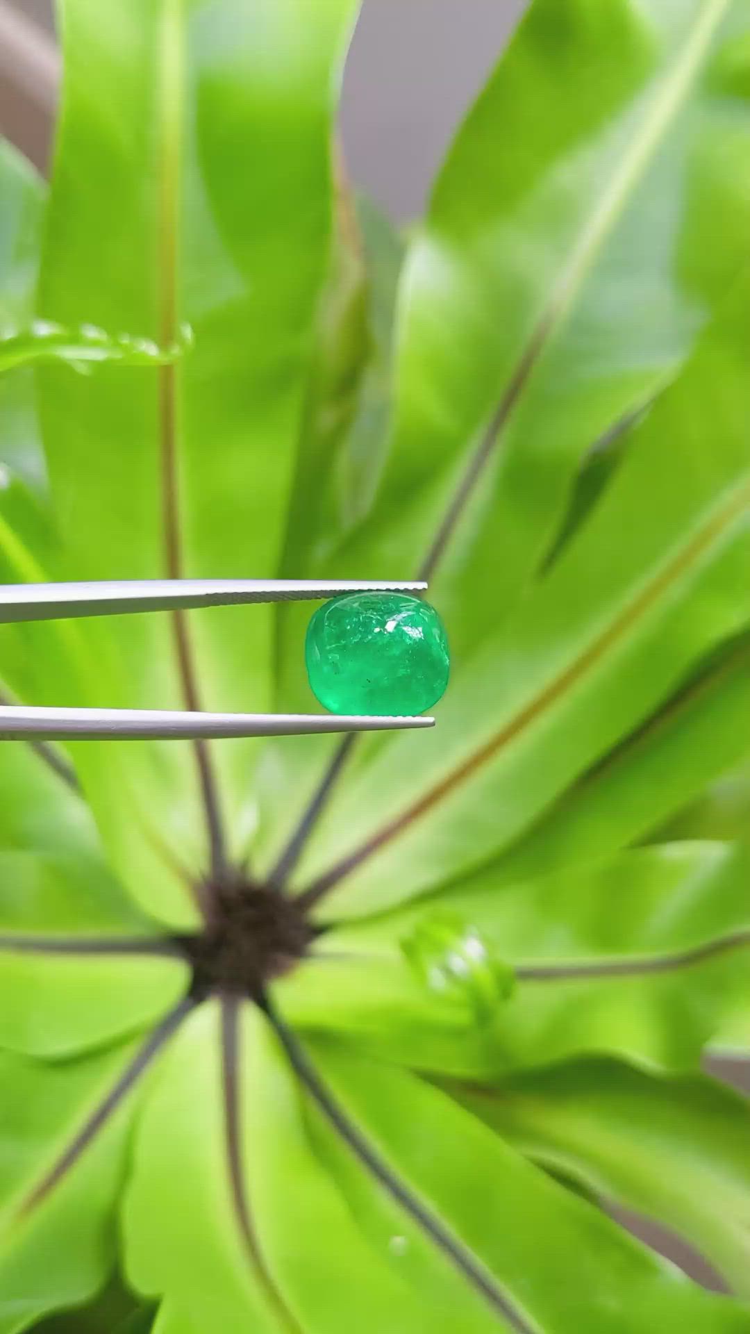 6.88 Ct. Cabochon Emerald from Pakistan Size Video