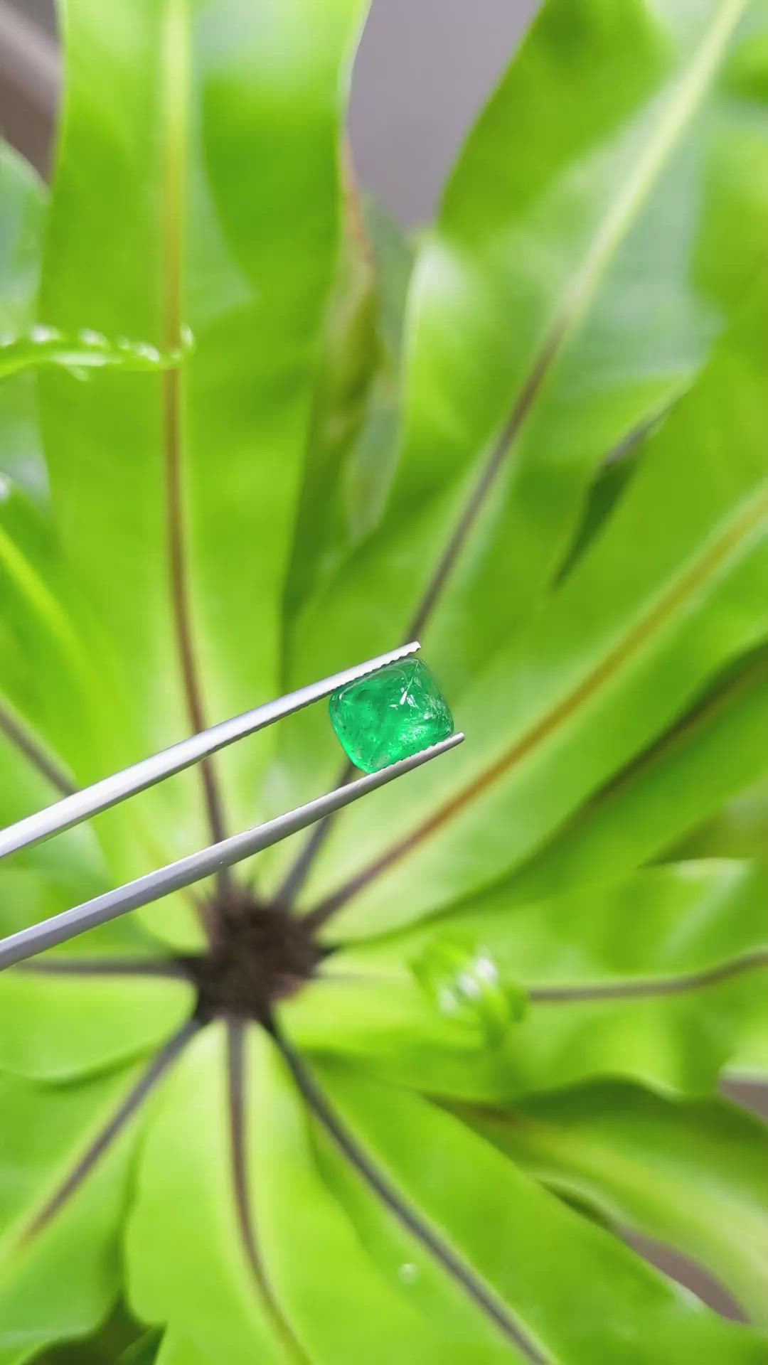 3.33 Ct. Cabochon Emerald from Pakistan Size Video