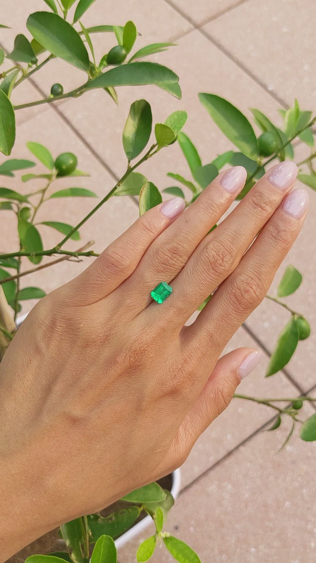 1.13 Ct. Emerald from Colombia Size Video