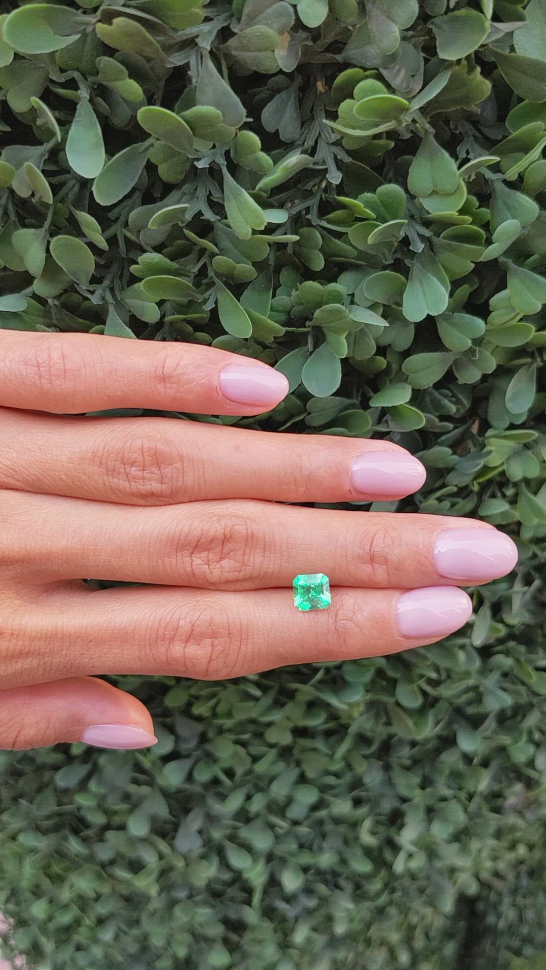 1.13 Ct. Emerald from Colombia Size Video