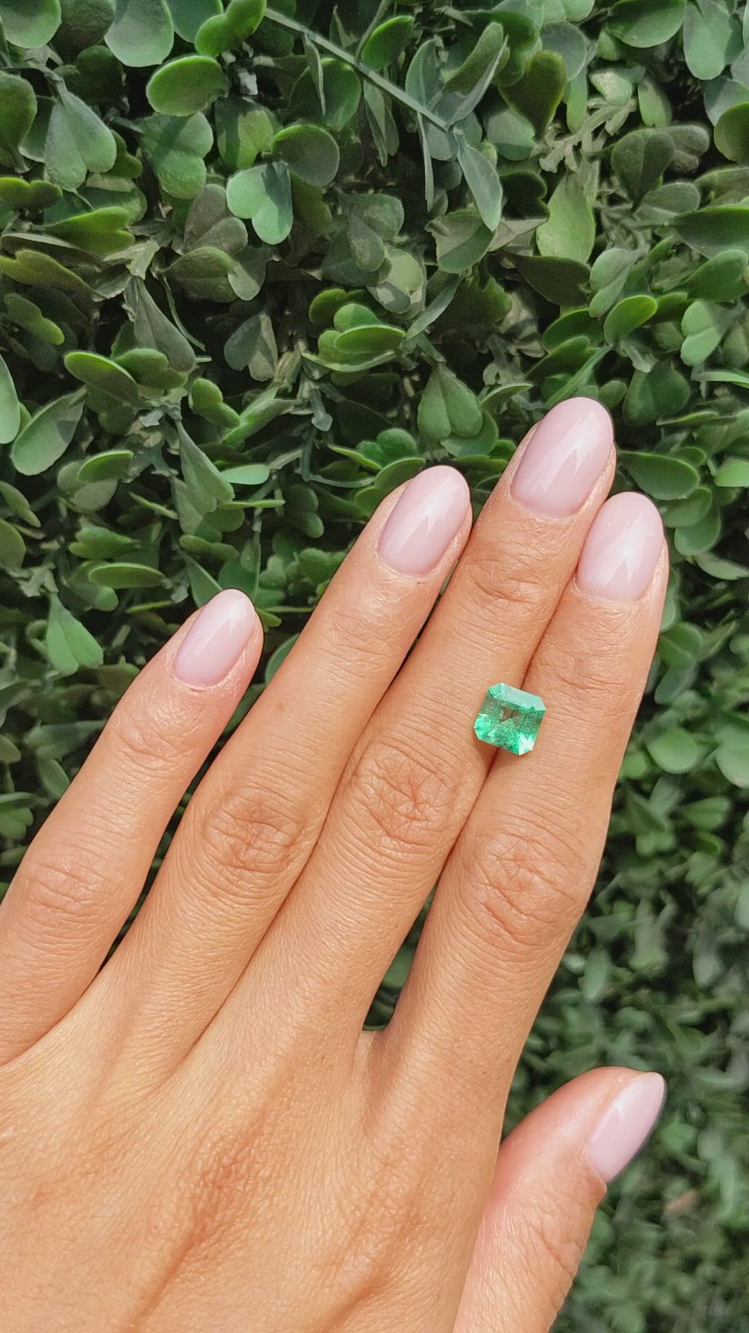 1.65 Ct. Emerald from Colombia Size Video