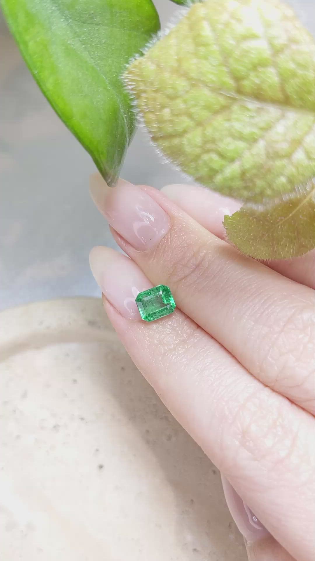 1.56 Ct. Emerald from Zambia Size Video