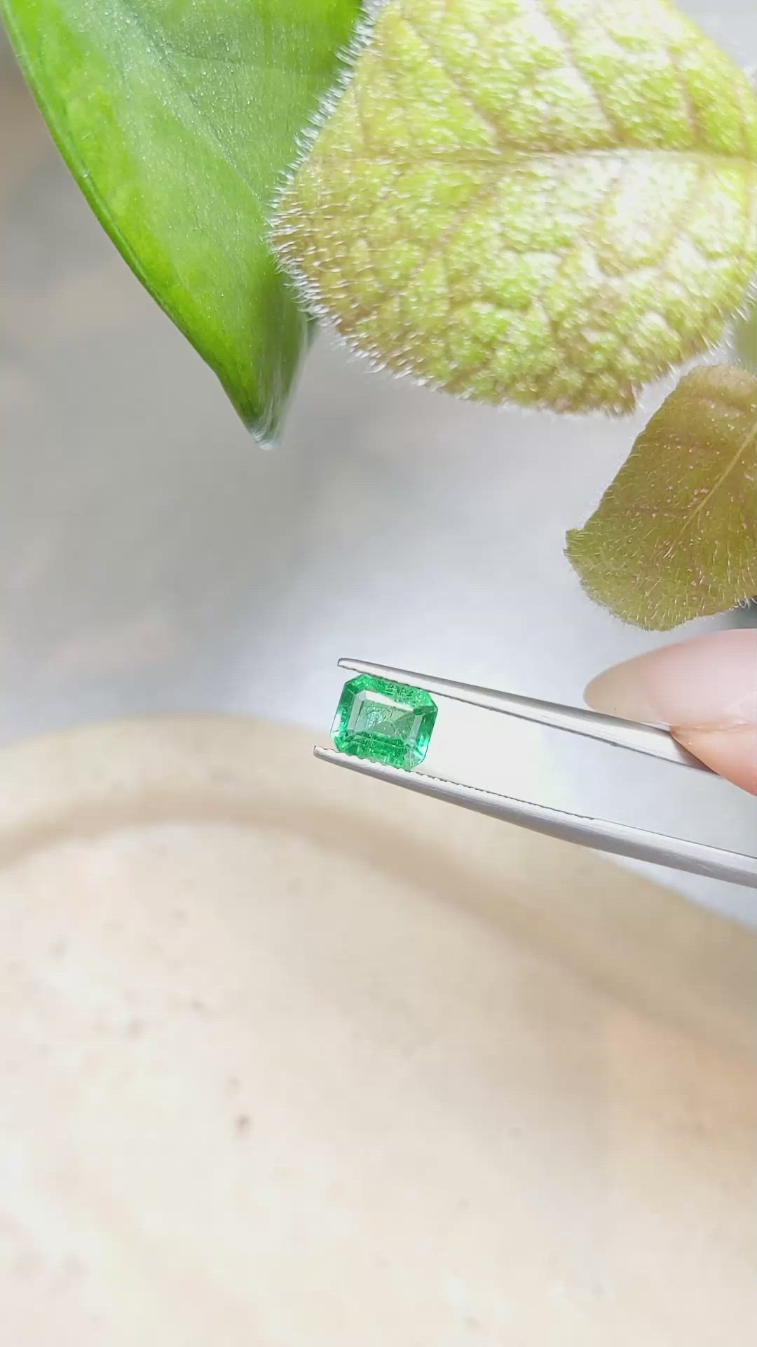 1.56 Ct. Emerald from Zambia Size Video