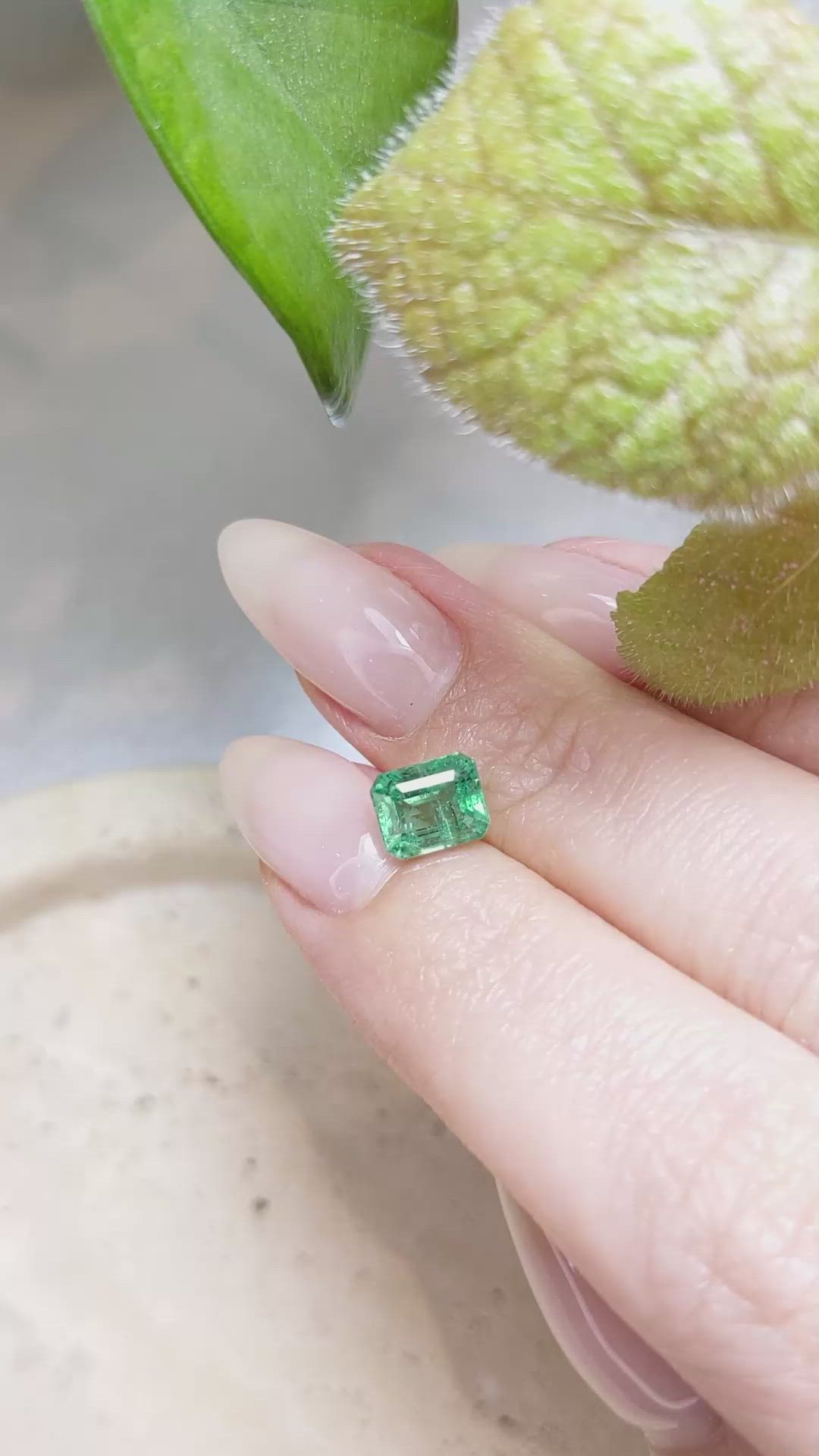 1.59 Ct. Emerald from Zambia Size Video