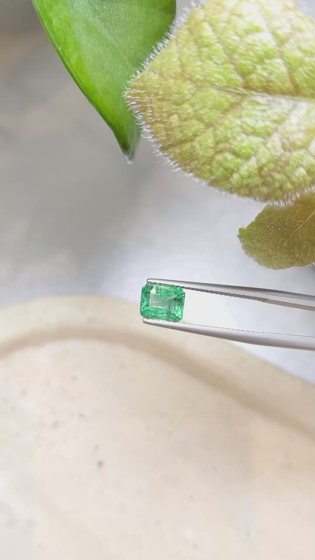 1.59 Ct. Emerald from Zambia Size Video