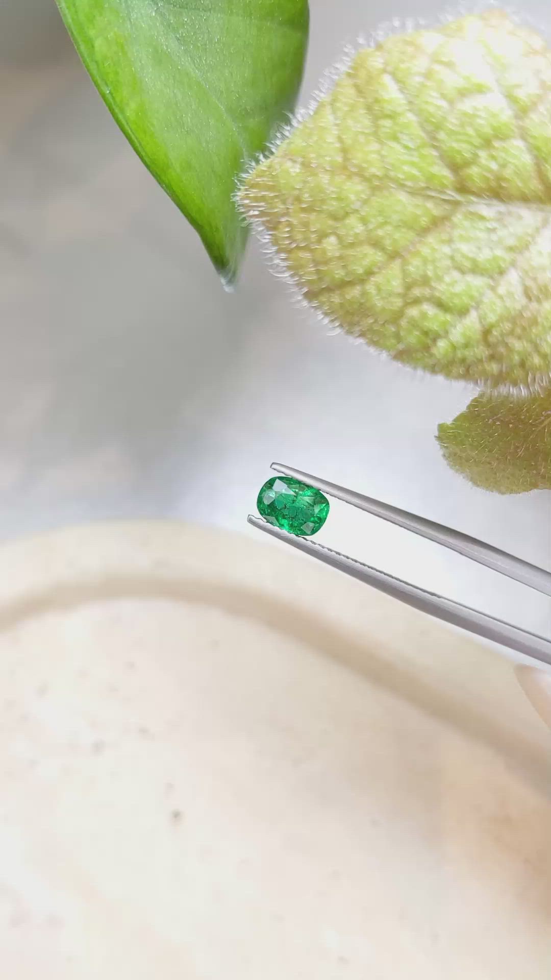 0.83 Ct. Emerald from Zambia Size Video