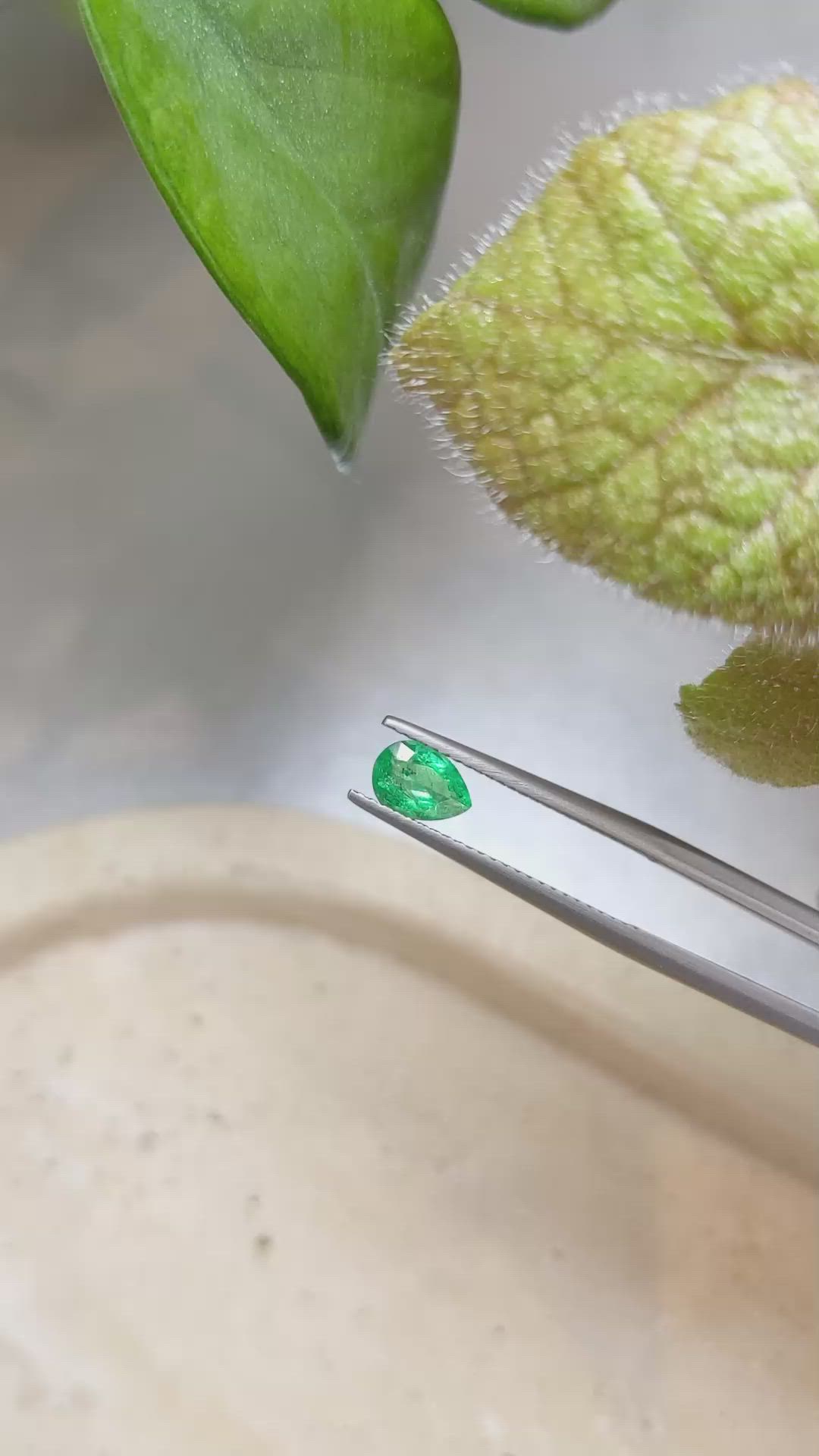 0.61 Ct. Emerald from Zambia Size Video