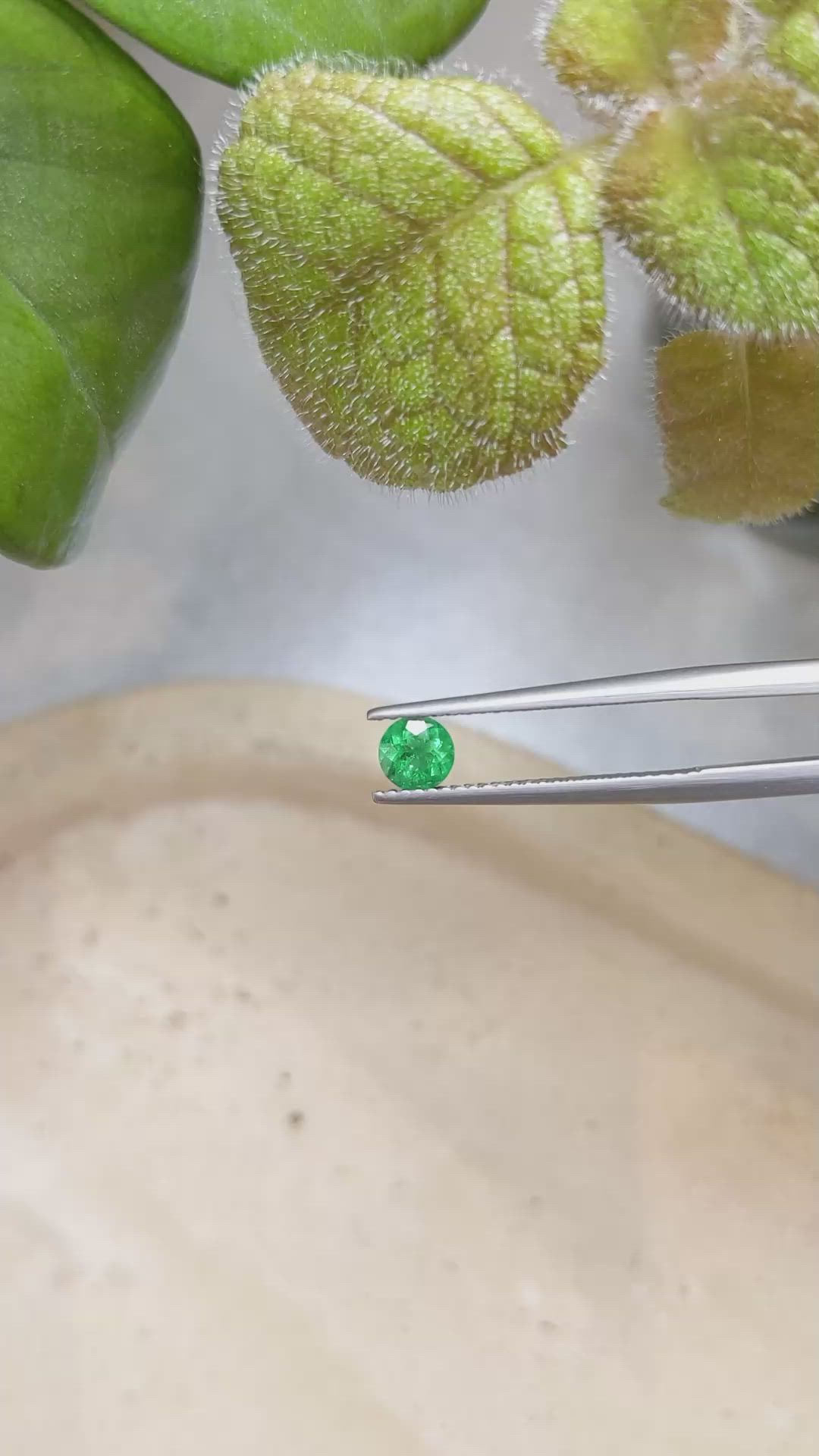 0.41 Ct. Emerald from Zambia Size Video