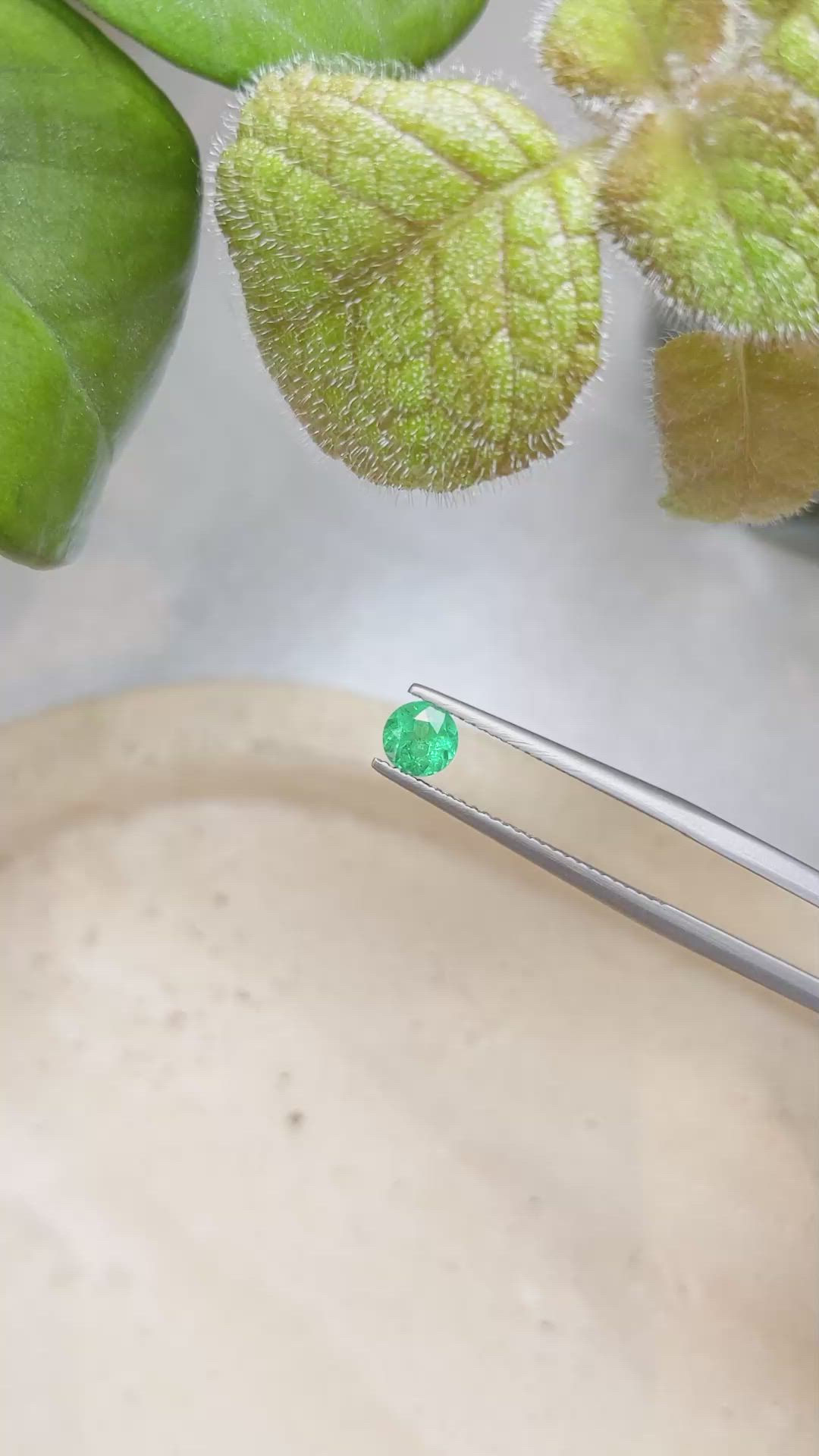 0.44 Ct. Emerald from Zambia Size Video