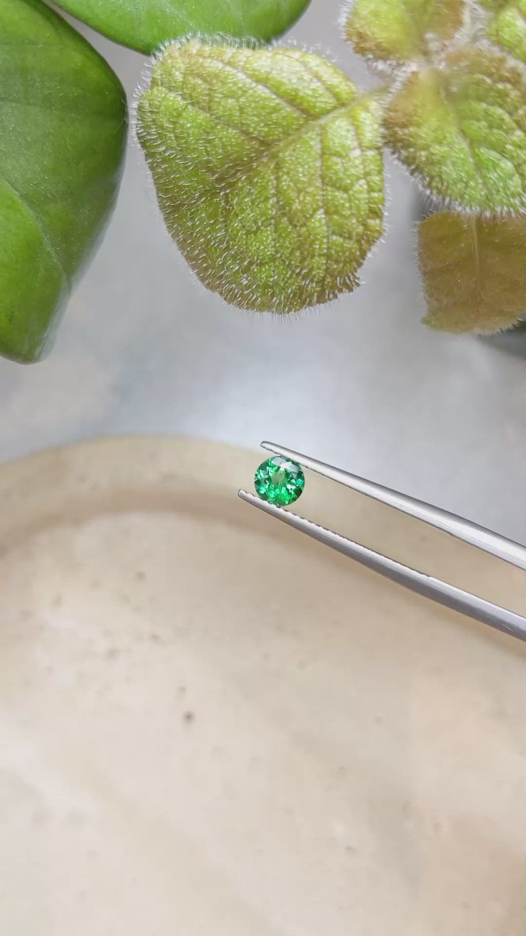 0.44 Ct. Emerald from Zambia Size Video