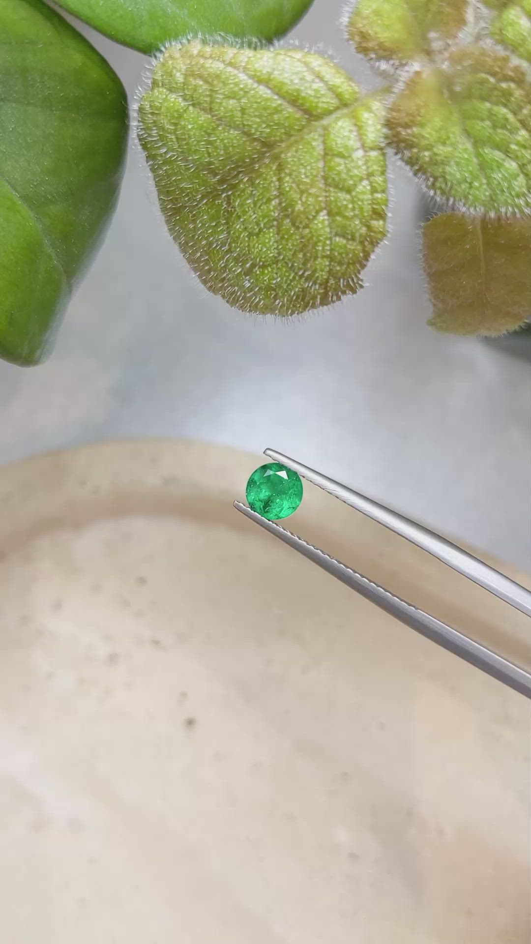 0.60 Ct. Emerald from Zambia Size Video
