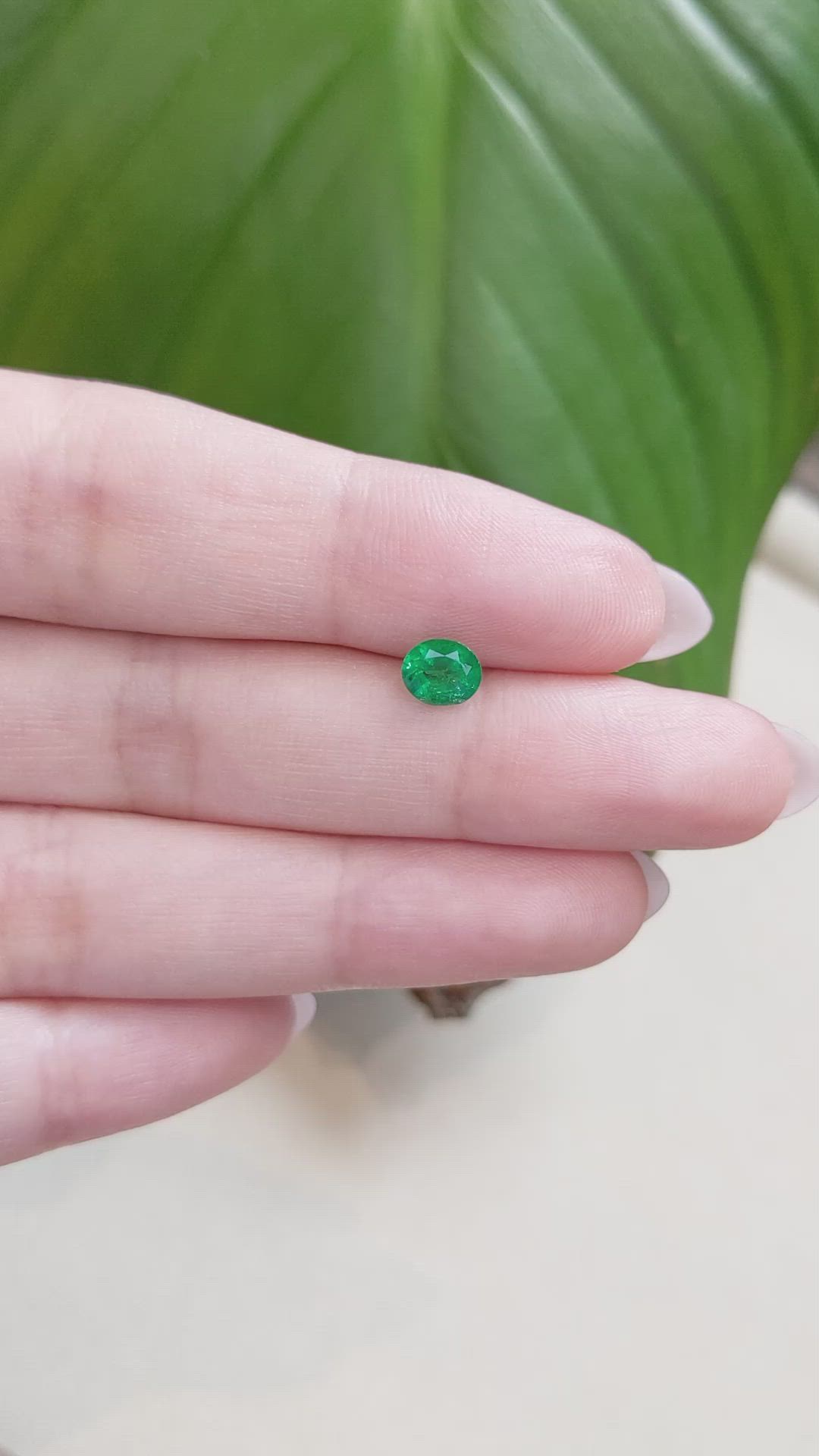 0.60 Ct. Emerald from Zambia Size Video