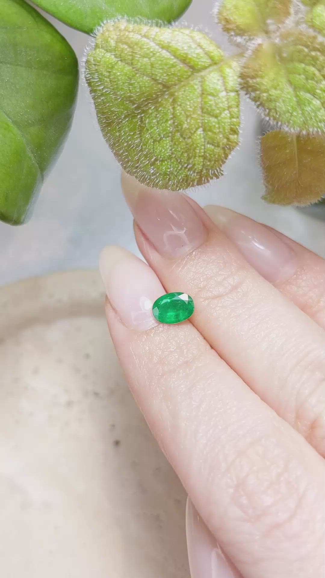 0.60 Ct. Emerald from Zambia Size Video