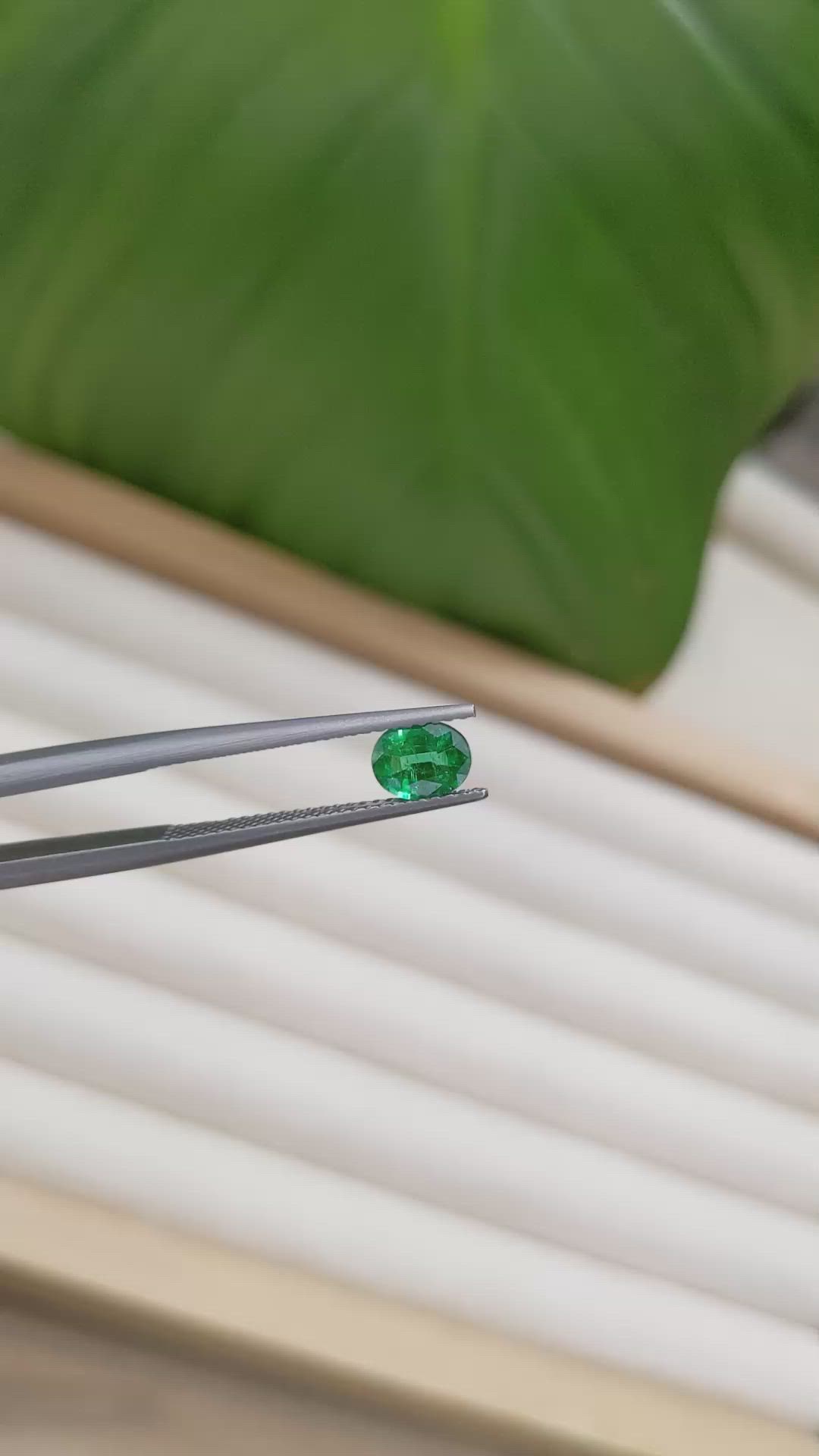 0.61 Ct. Emerald from Zambia Size Video