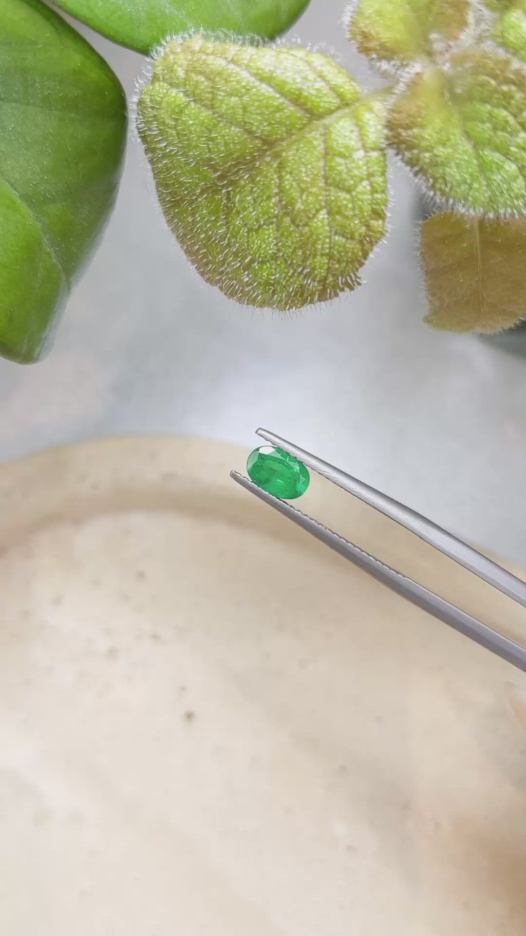 0.62 Ct. Emerald from Zambia Size Video