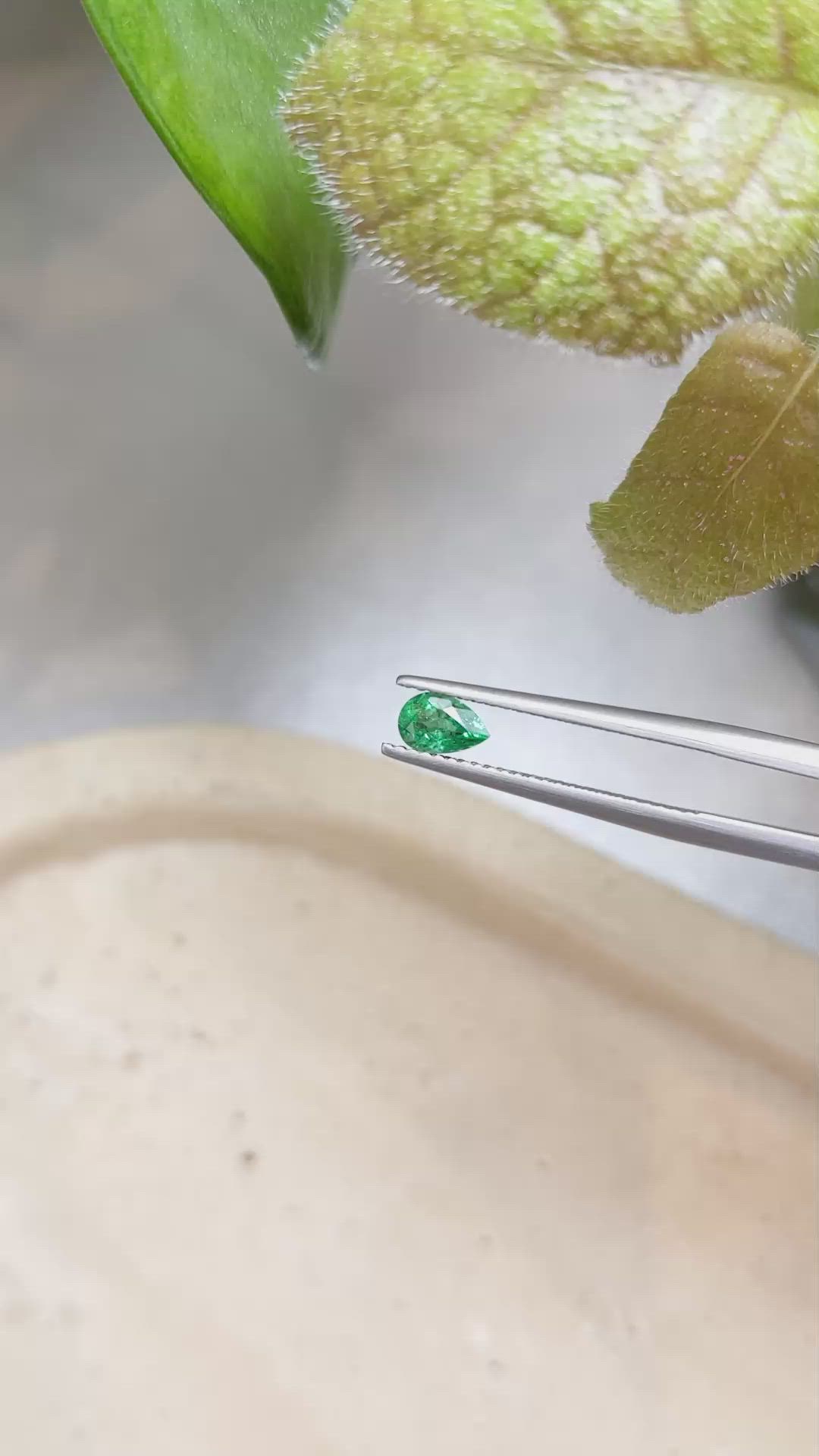 0.39 Ct. Emerald from Zambia Size Video