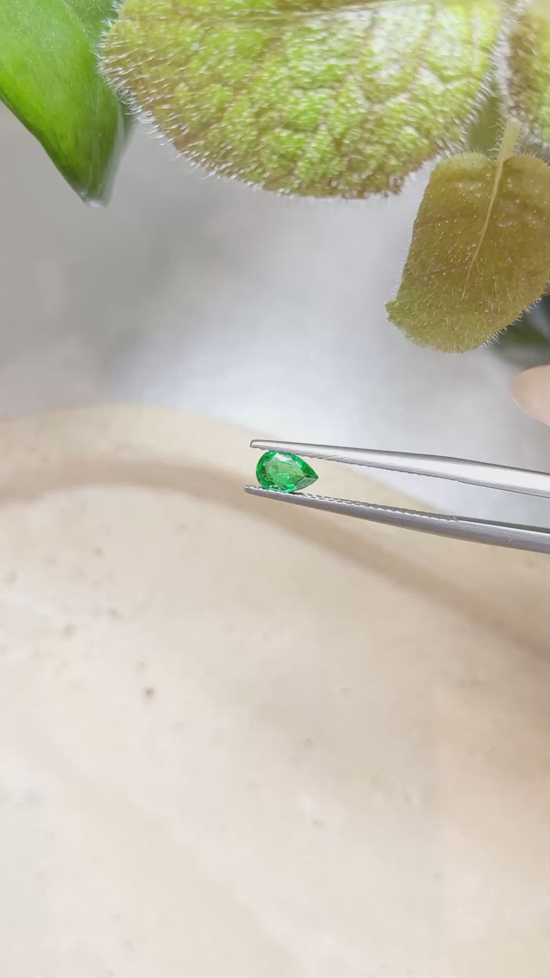 0.34 Ct. Emerald from Zambia Size Video