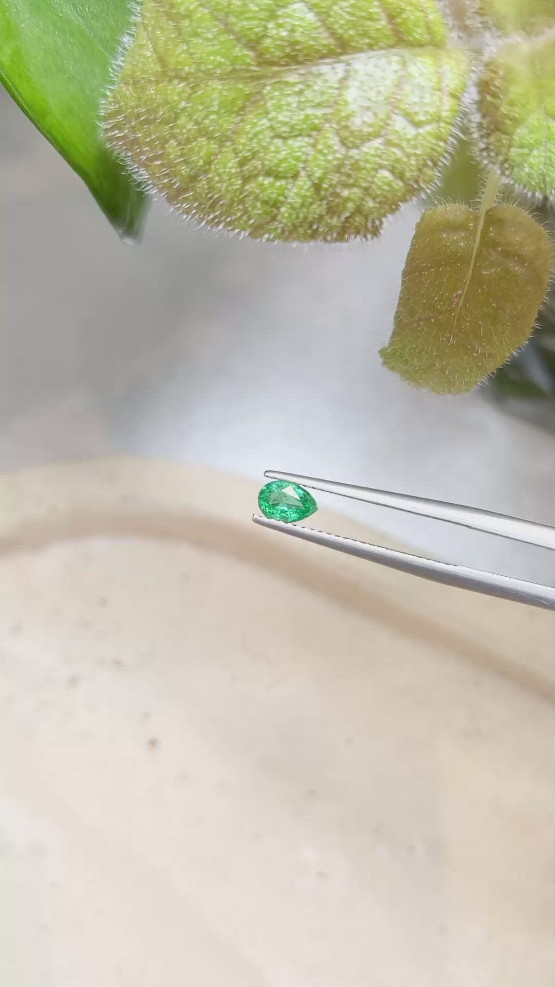 0.38 Ct. Emerald from Zambia Size Video