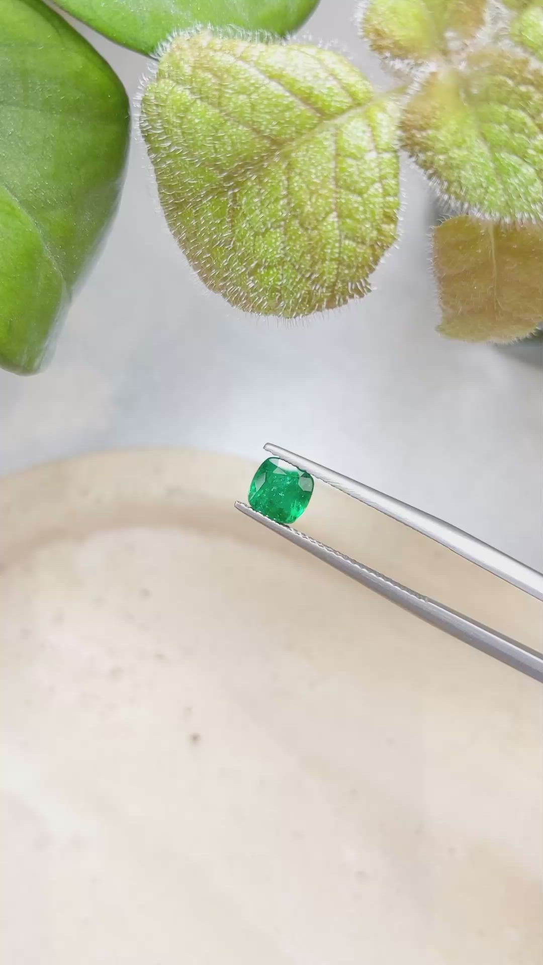 0.84 Ct. Emerald from Zambia Size Video