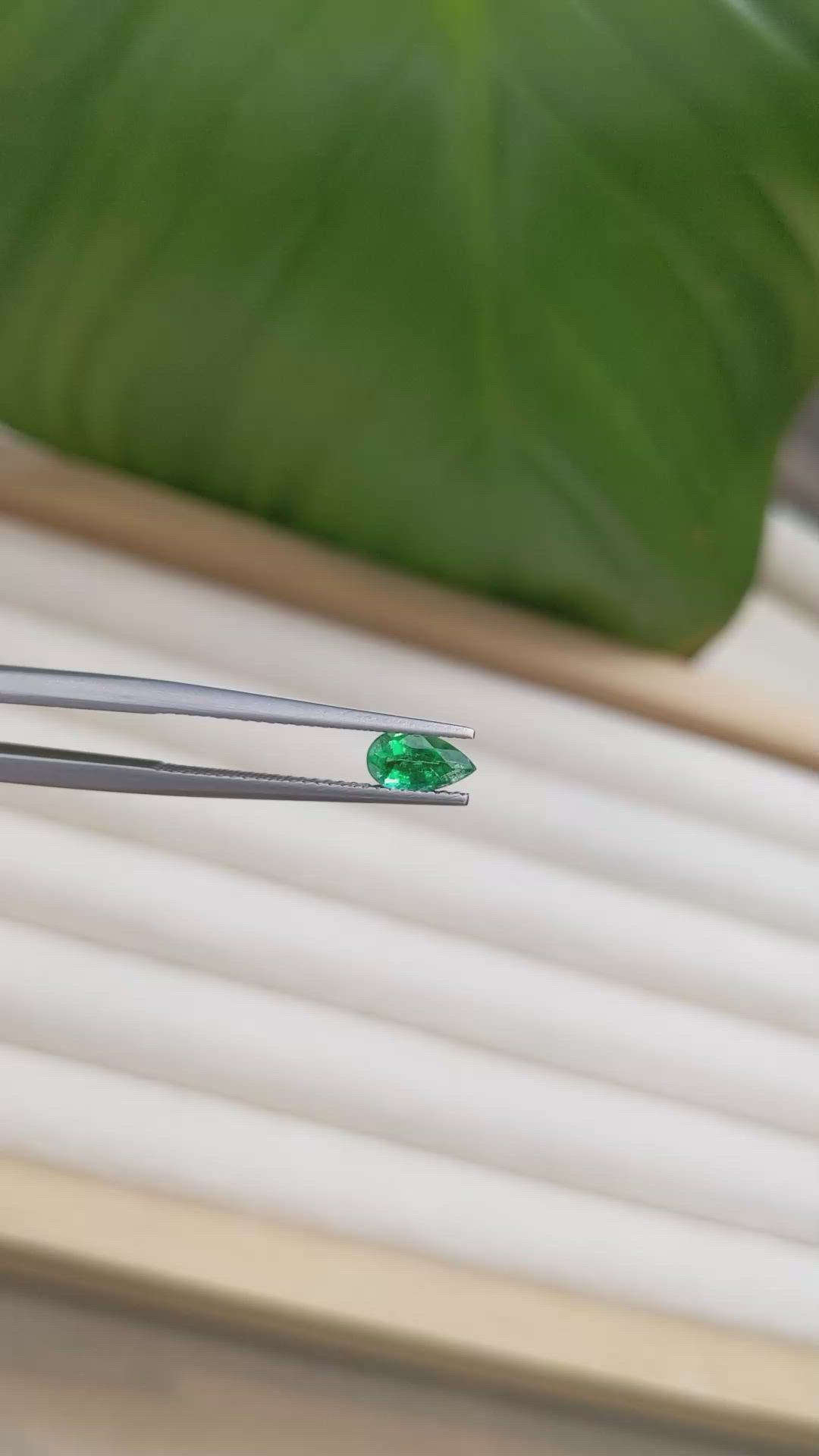 0.44 Ct. Emerald from Zambia Size Video