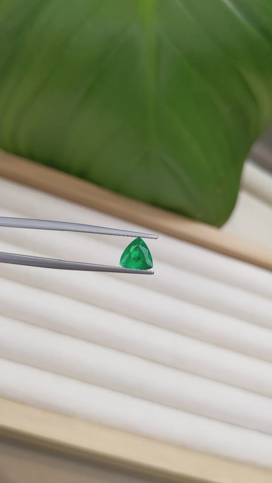 0.95 Ct. Emerald from Zambia Size Video