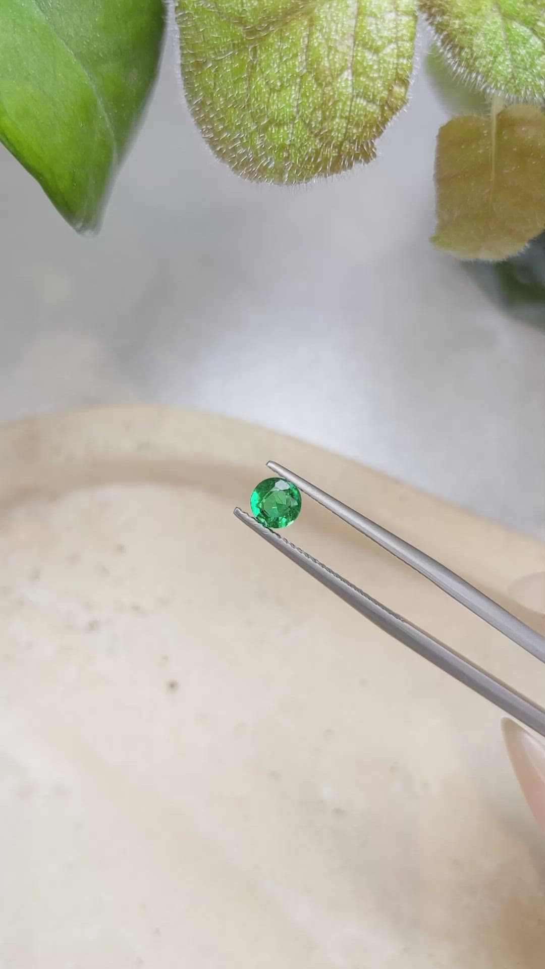 0.53 Ct. Emerald from Afghanistan Size Video