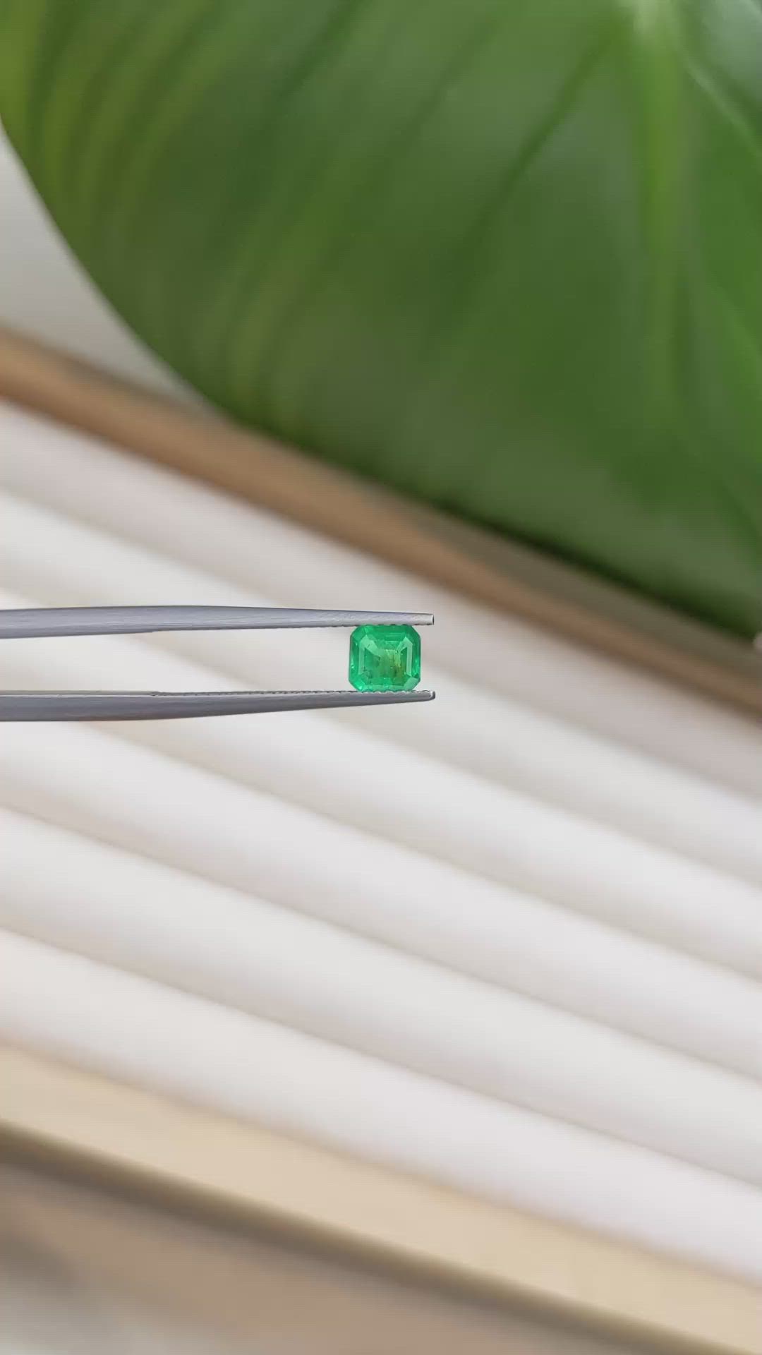 0.64 Ct. Emerald from Colombia Size Video