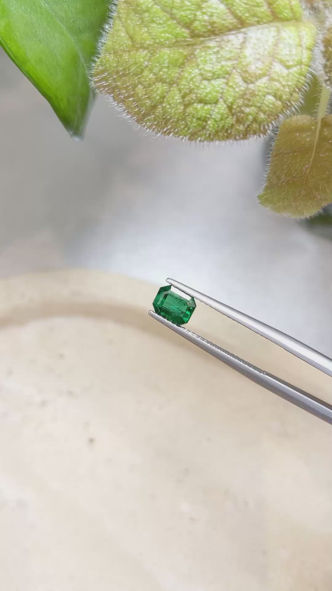 0.79 Ct. Emerald from Zambia Size Video