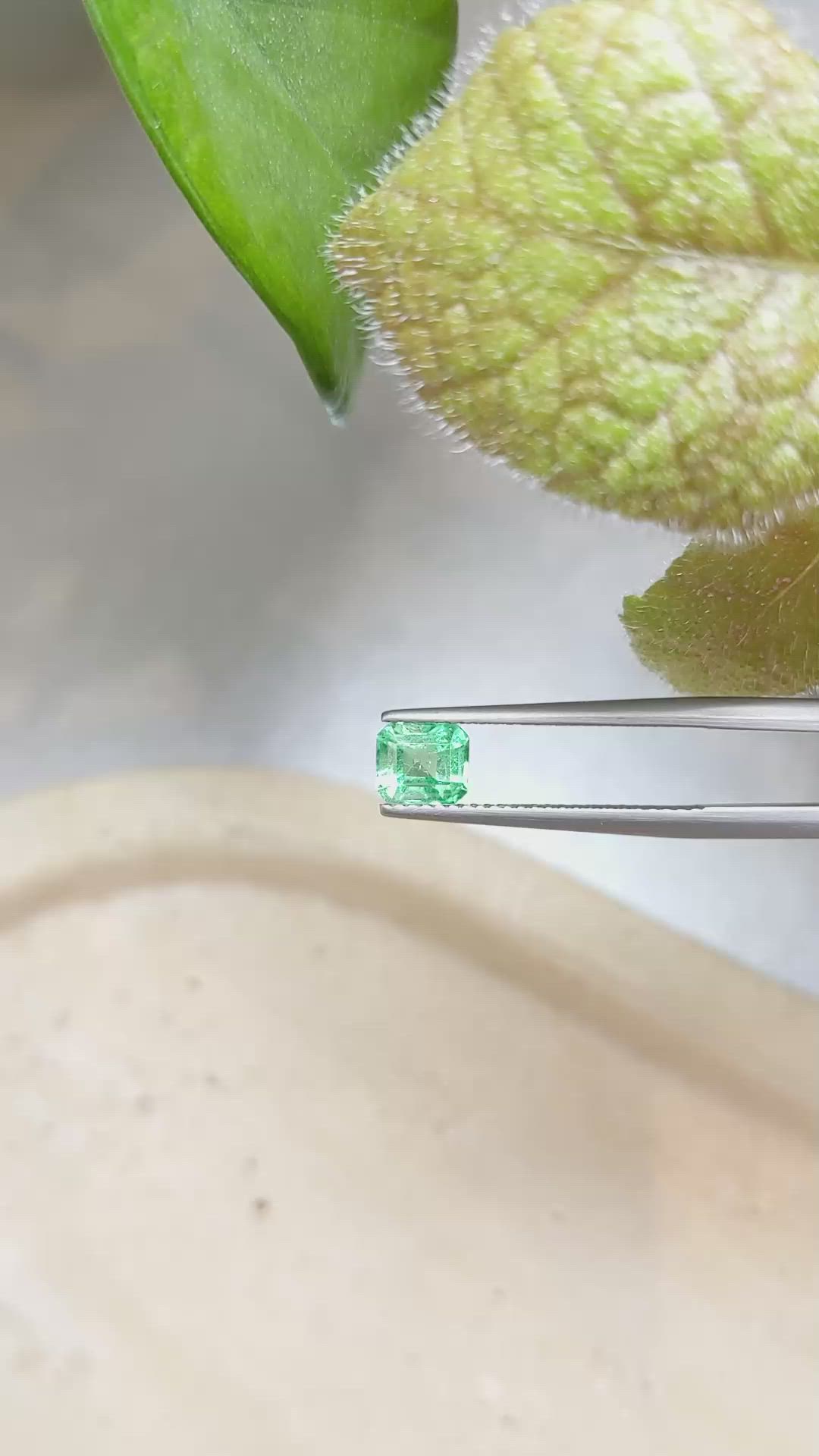 0.86 Ct. Emerald from Zambia Size Video