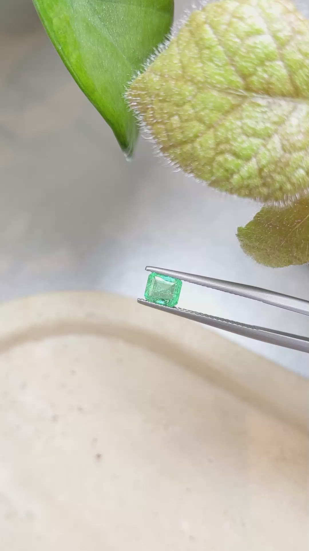 0.78 Ct. Emerald from Zambia Size Video