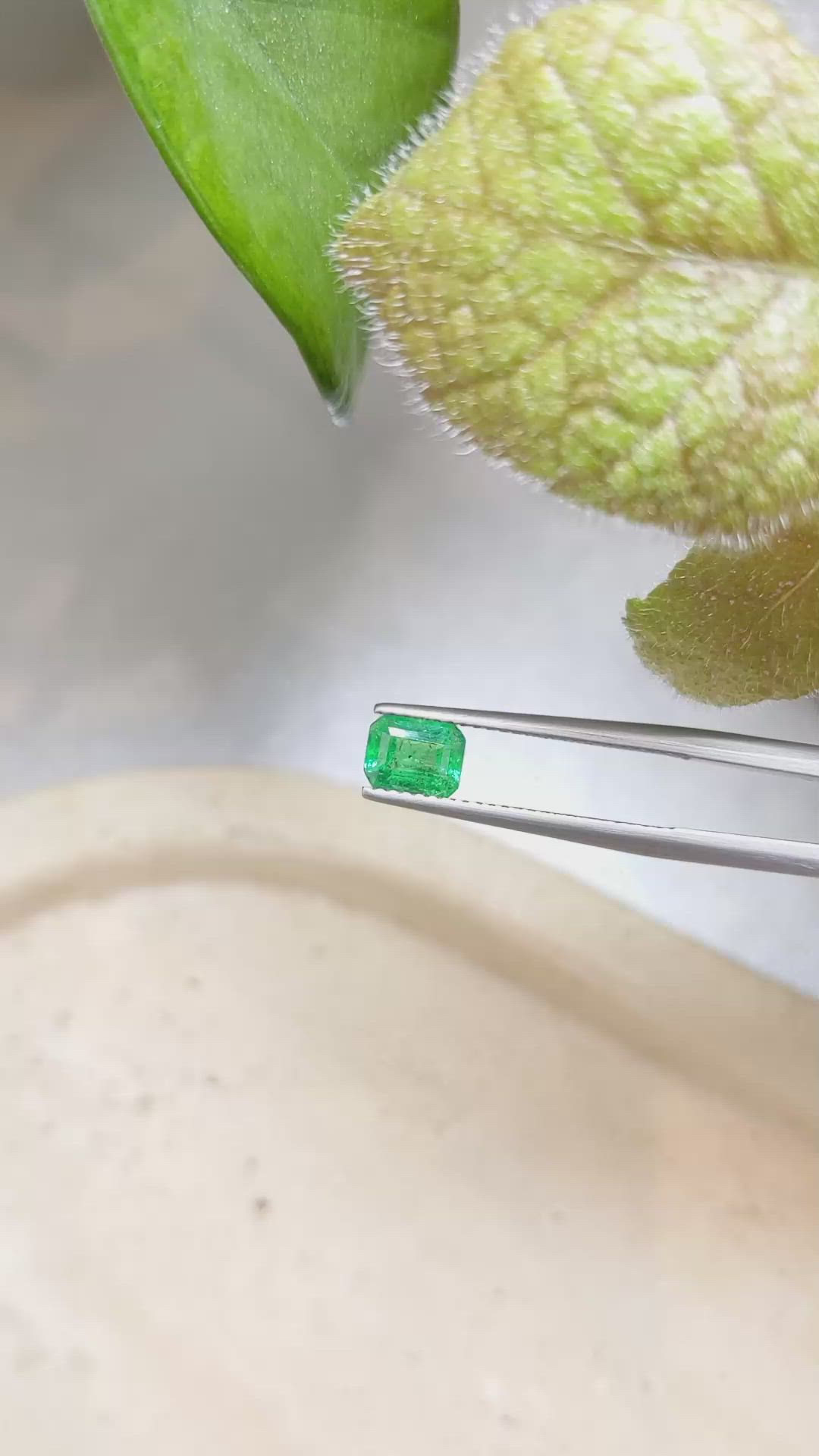 0.85 Ct. Emerald from Zambia Size Video
